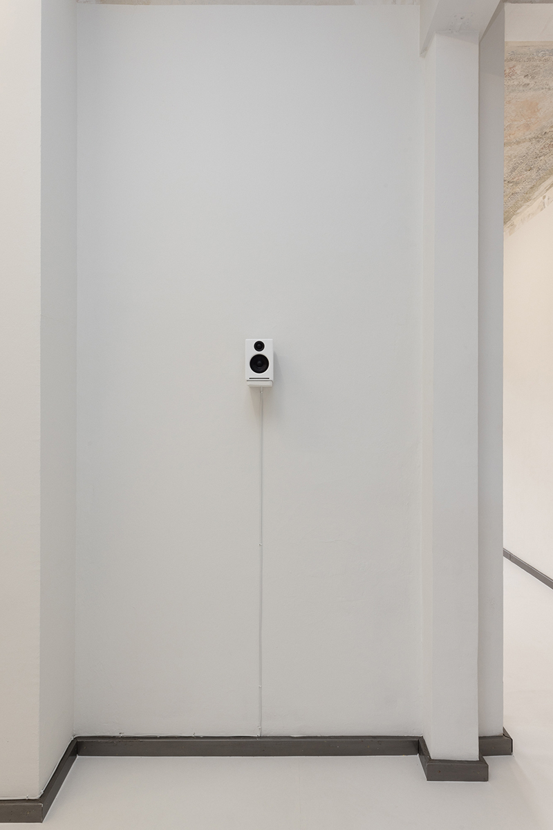 Yutaka Makino, Canon for cloned voice after Diana Deutsch, 2020 (detail) © nova space 2022