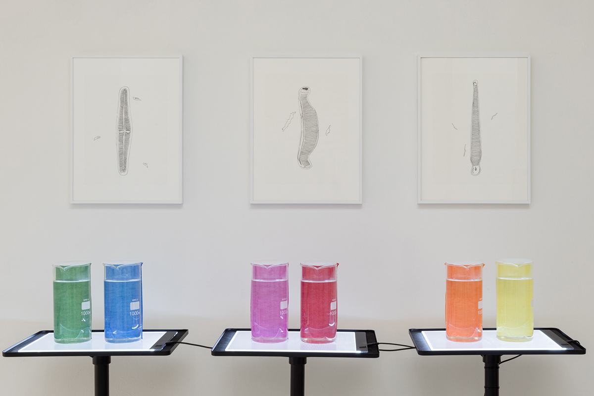 Jenny Brockmann, Energy-State-Reaction, 2021 © nova space 2022