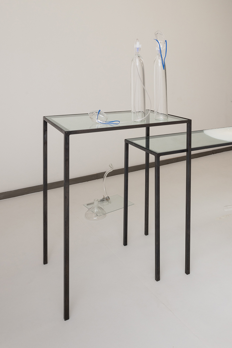 Lena Trost, Smell of glass, 2022 (detail) © nova space 2022