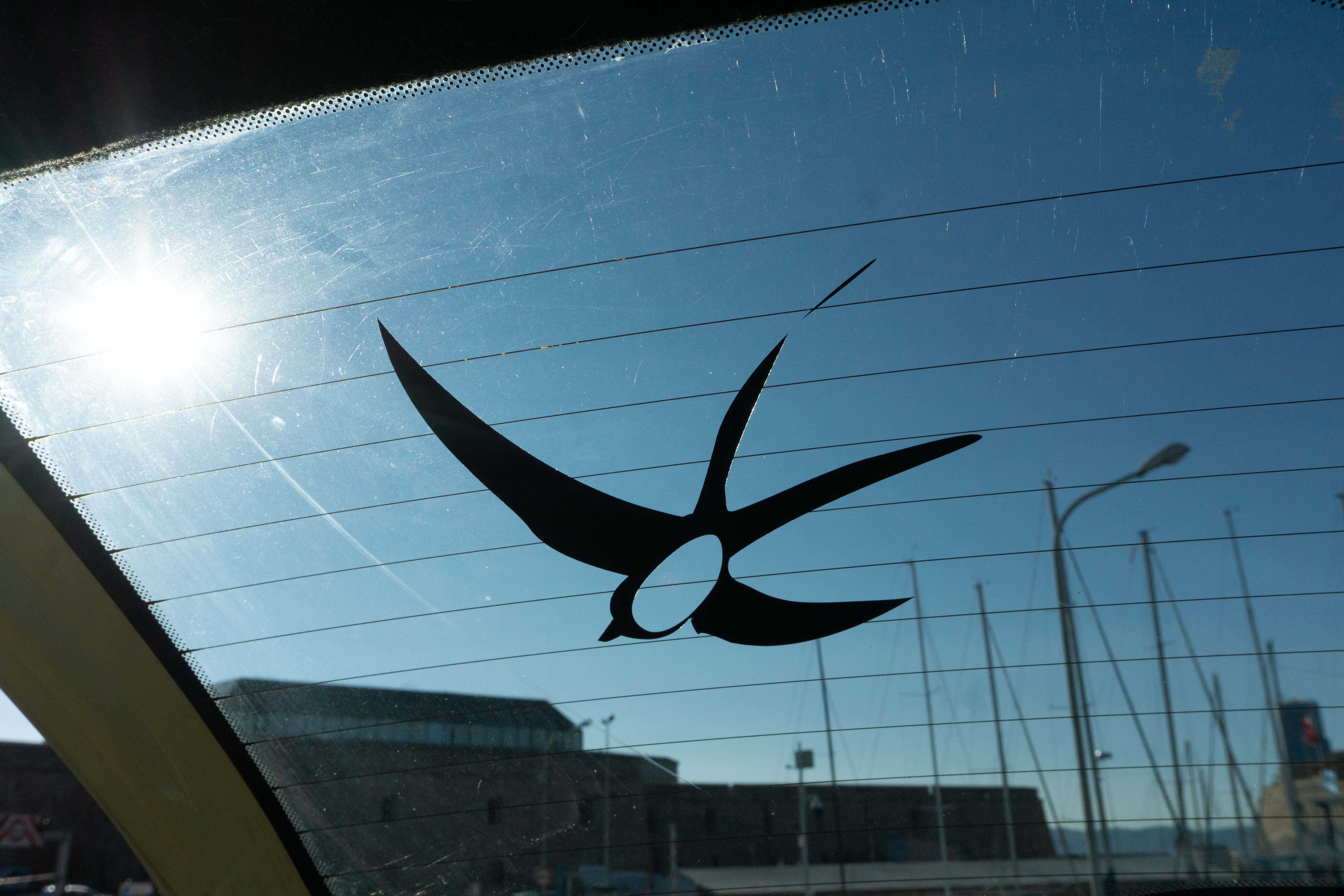 Michael Broschmann, swallow, 2018