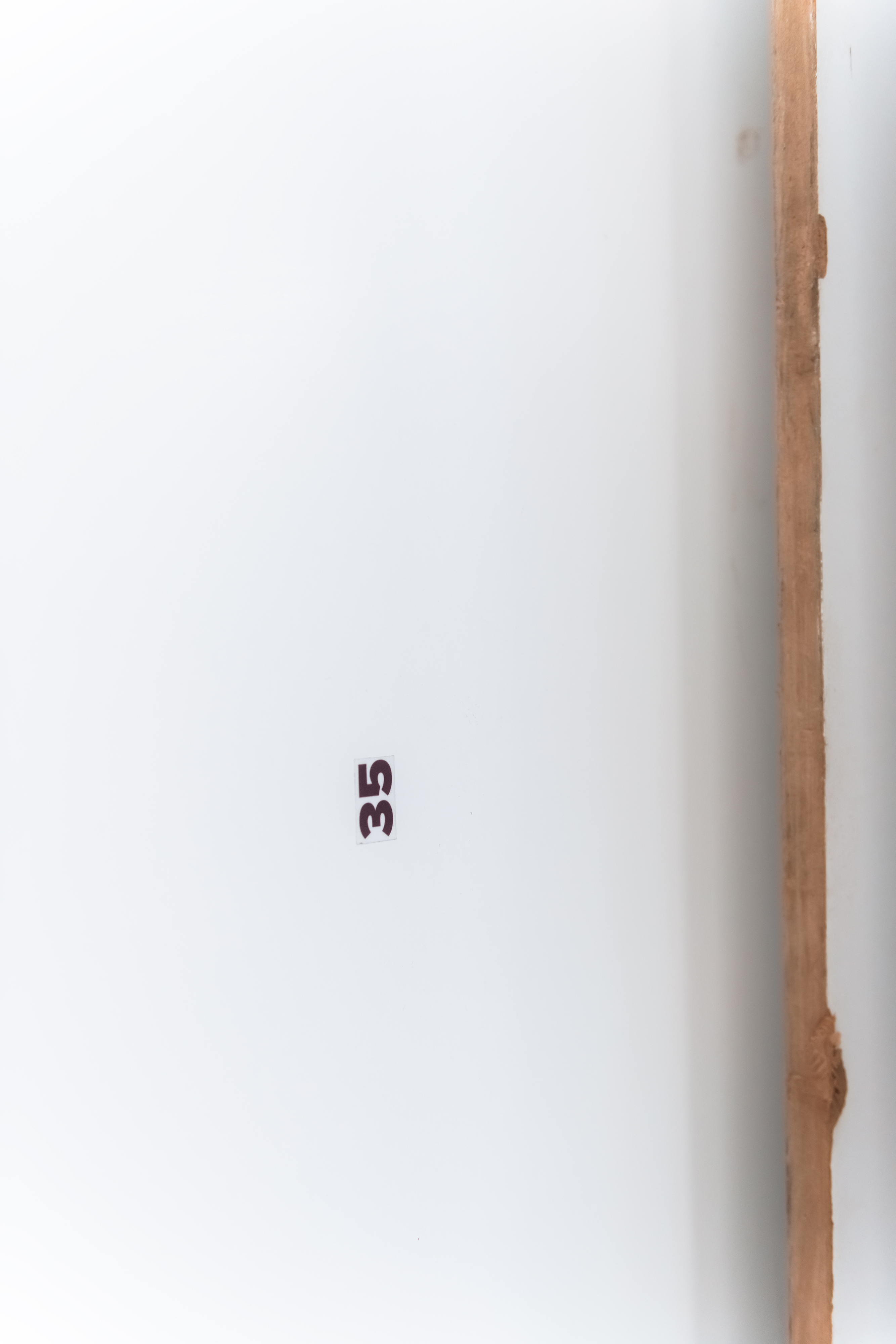 Pauline Schey, stopped the swap step, 2022, detail