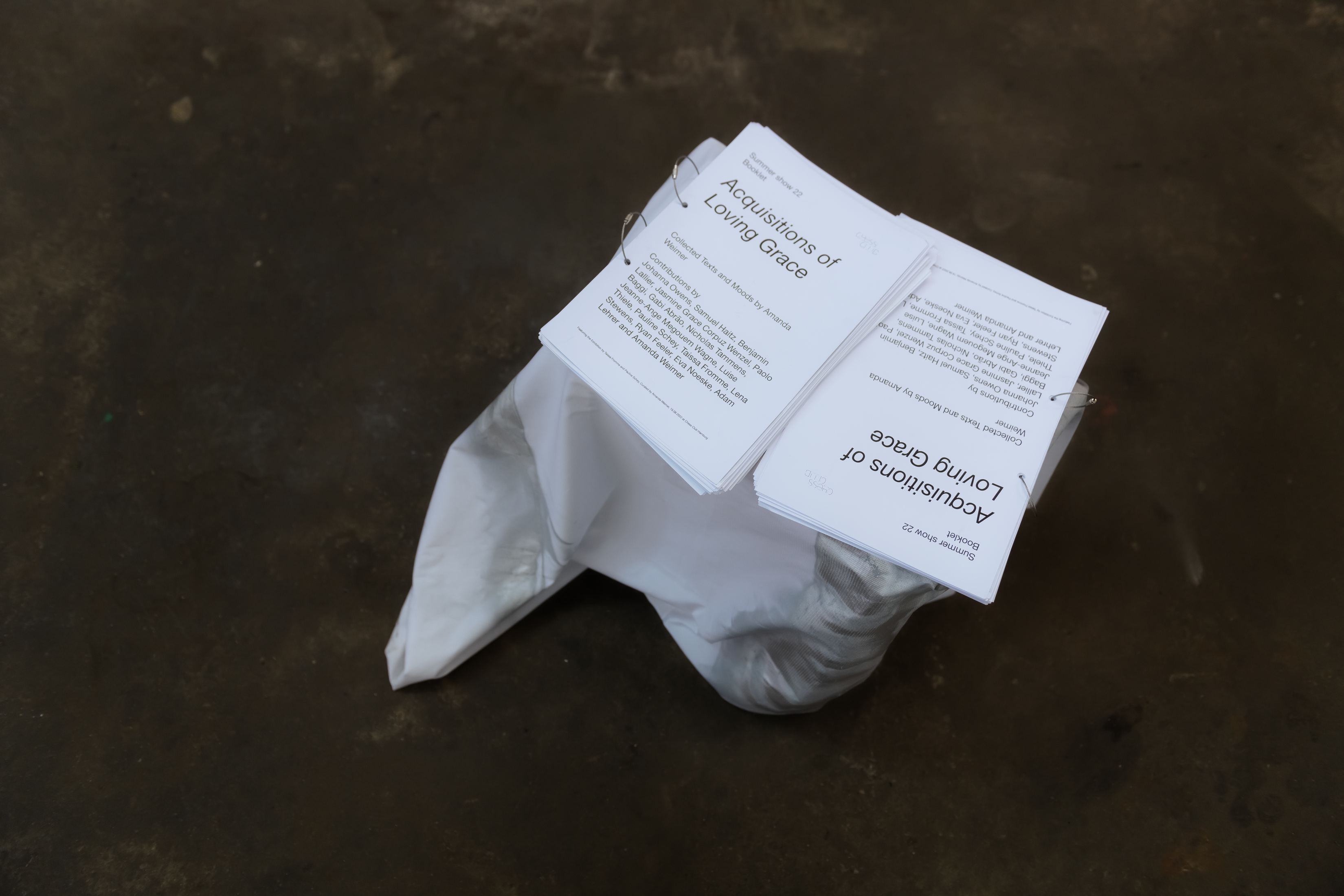 Summer show 22 Booklet Acquisitions of Loving Grace Collected Texts and Moods by Amanda Weimer
