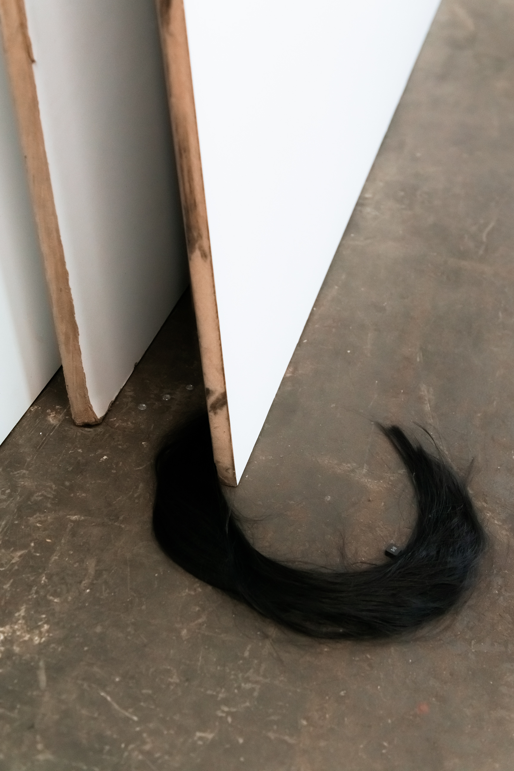Pauline Schey, stopped the swap step, 2022 detail