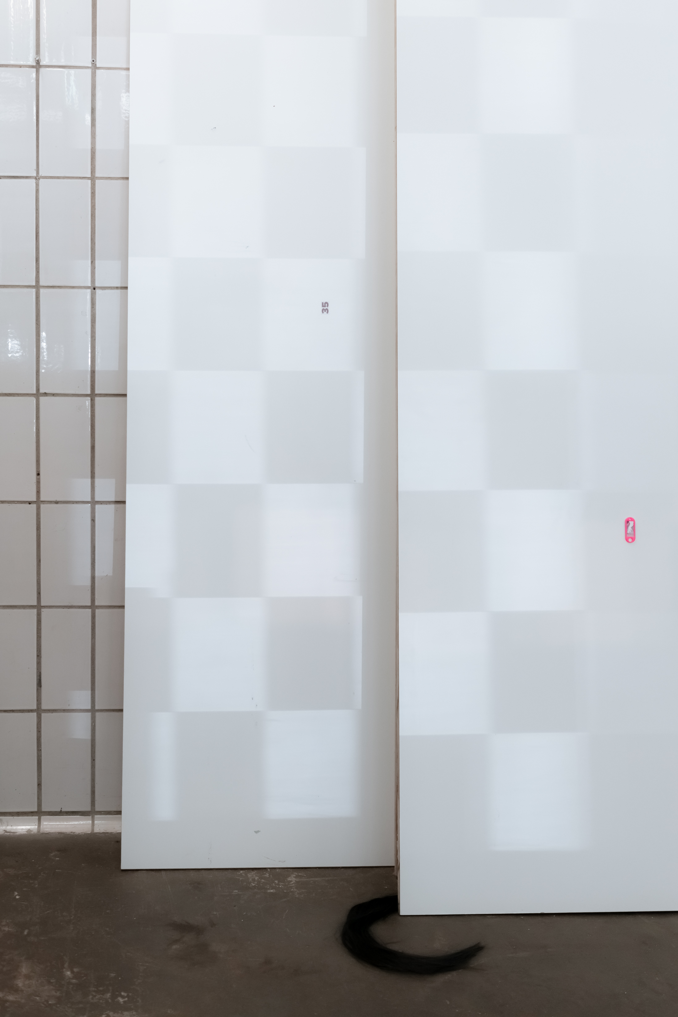 Pauline Schey, stopped the swap step, 2022, detail