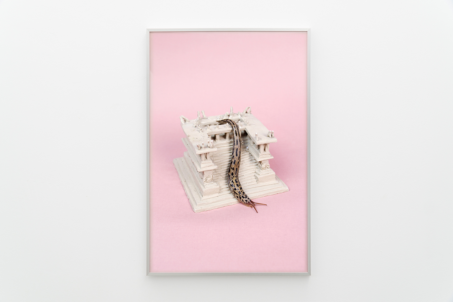 Lisa Marie Schmitt, Sleep Demon lV, C-Print, 2020