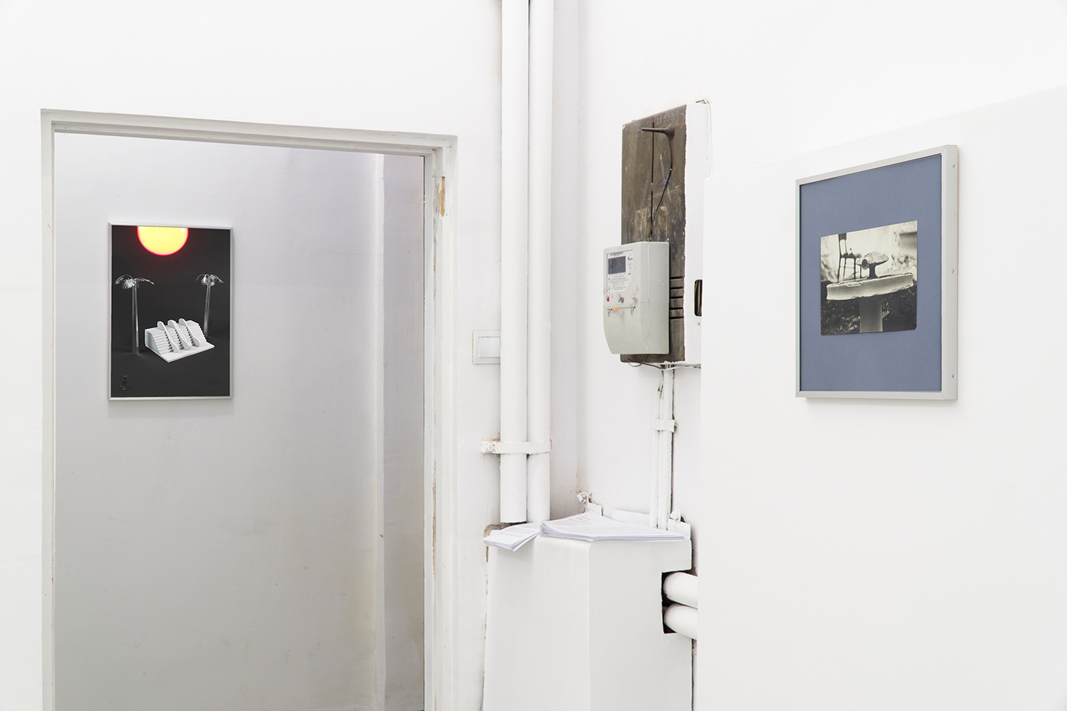 Ernest Budeș, Lisa Marie Schmitt, exhibition view