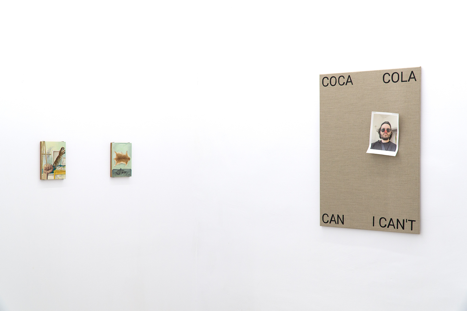 Alexandra Mocan, Flaviu Cacoveanu, exhibition view