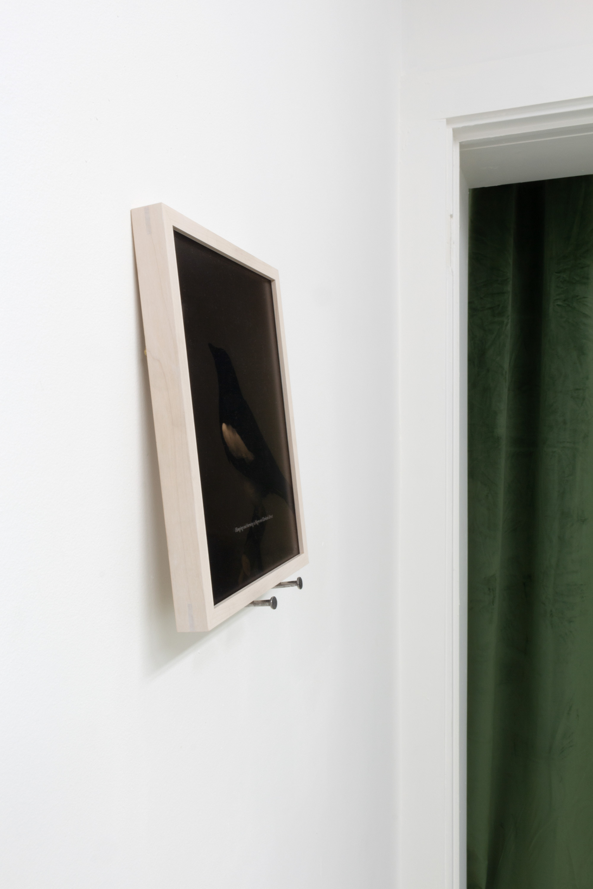 Boz Deseo Garden, An Auditor; Documentation of Patricia Decker’s Taxidermy Magpie, 2022, Archival inkjet print, etched acrylic, 8 x 10 in (9.25 x 11.25 x 1.5 in framed), Edition of 5