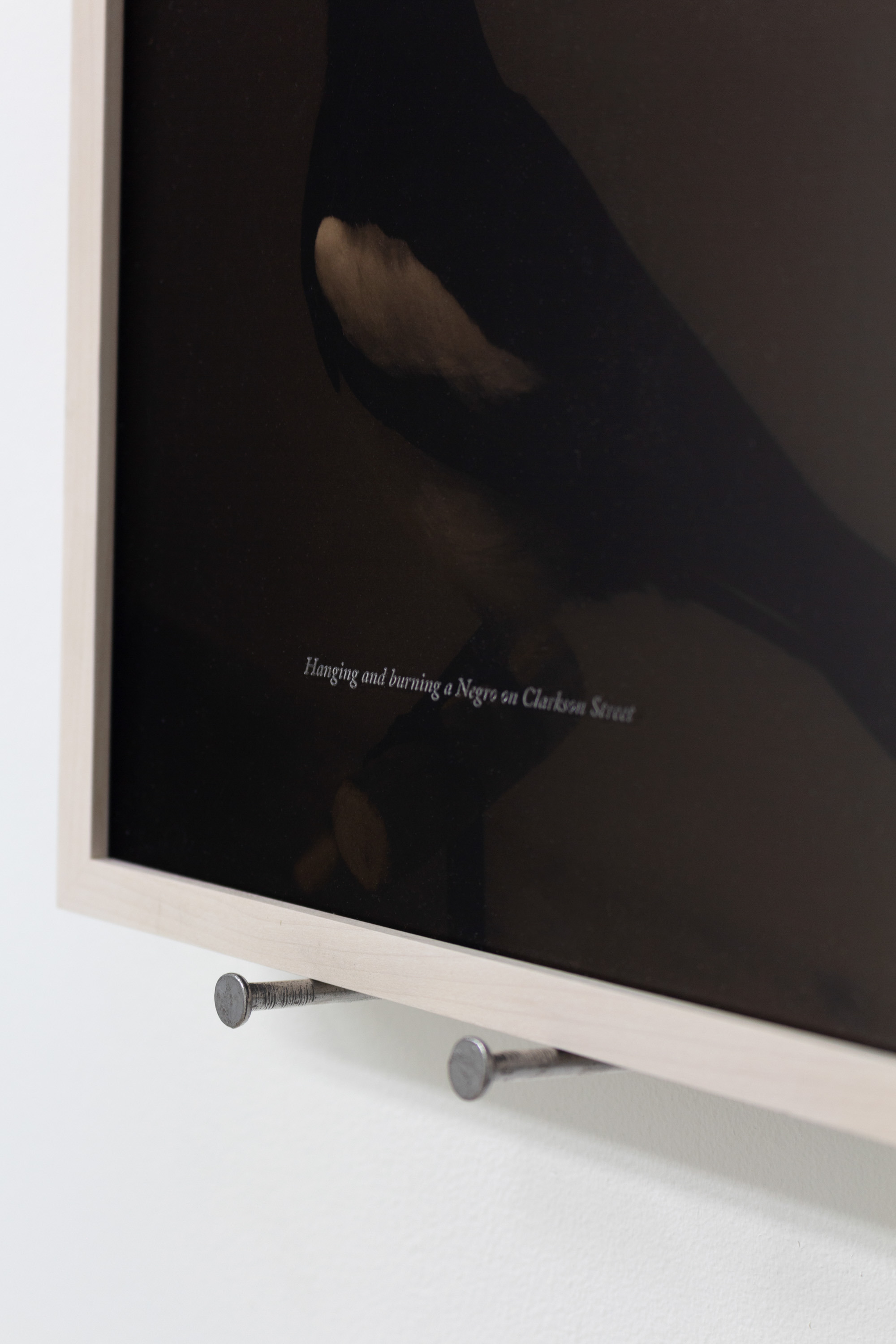 Boz Deseo Garden, An Auditor; Documentation of Patricia Decker’s Taxidermy Magpie, 2022, Archival inkjet print, etched acrylic, 8 x 10 in (9.25 x 11.25 x 1.5 in framed), Edition of 5