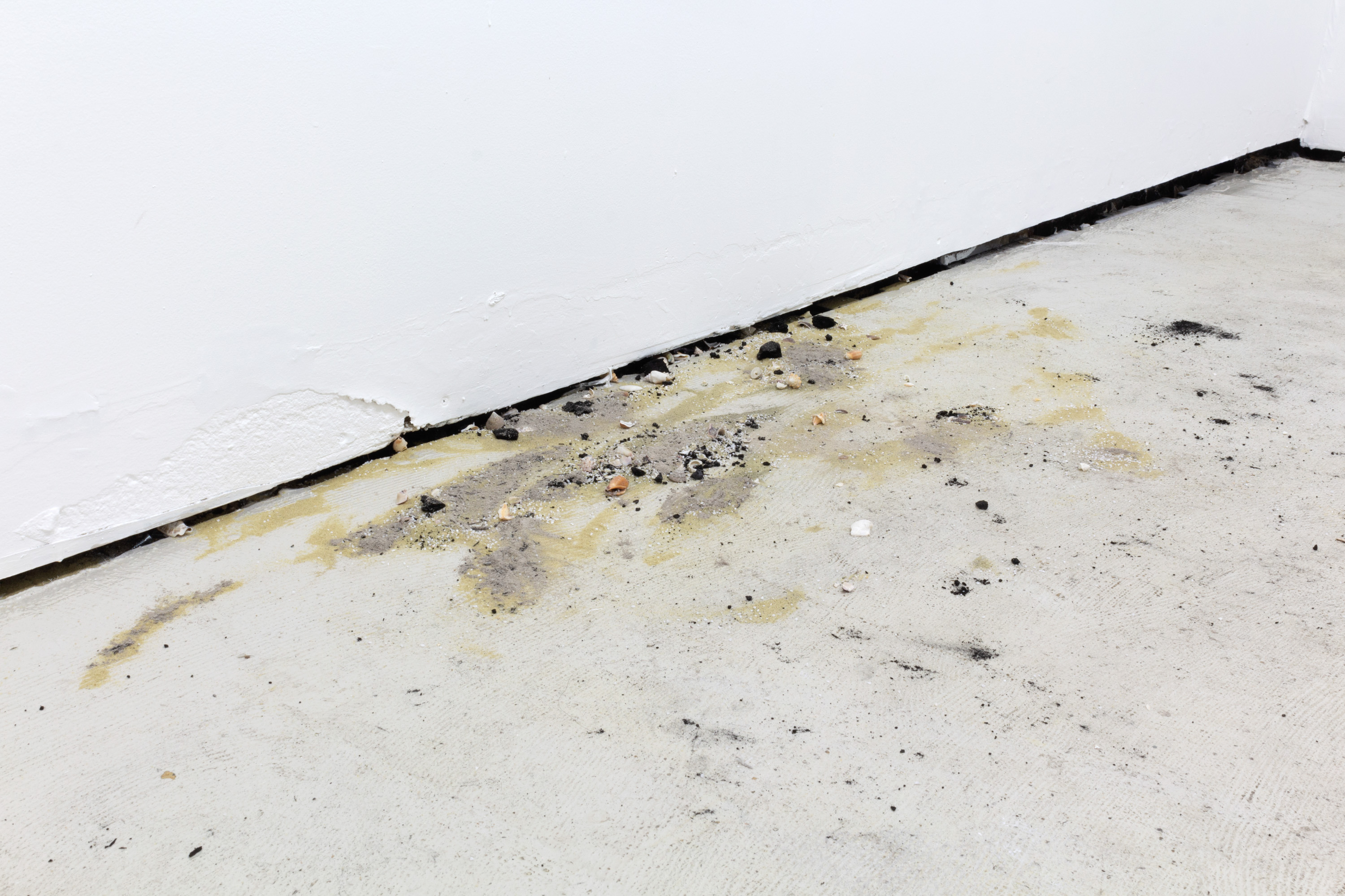 Boz Deseo Garden, Ahead of Speech and Once More With Horror (The Tide Lures Itself Out Again), 2022, Fired seashells/calcium oxide powder, charcoal, oak, ash, sand, Dimensions variable