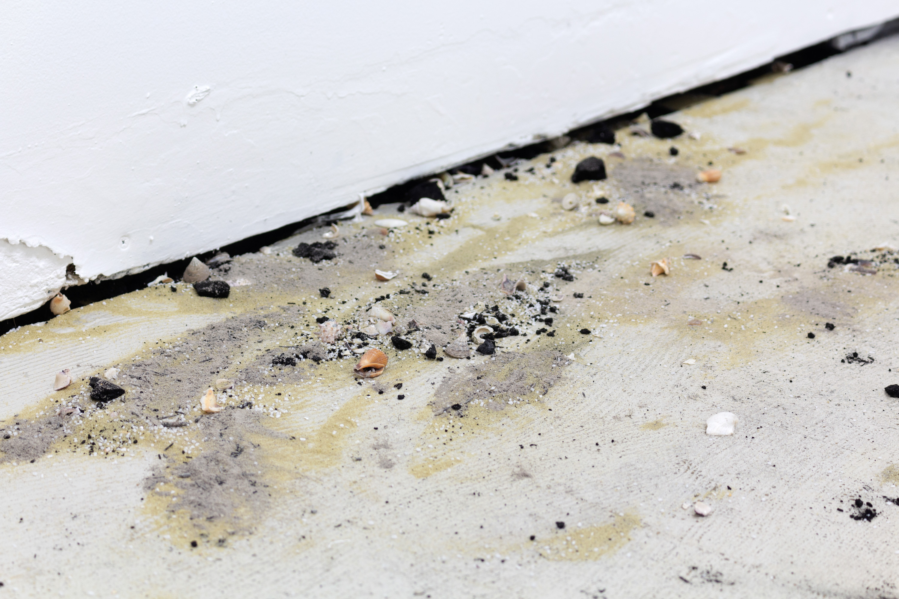 Boz Deseo Garden, Ahead of Speech and Once More With Horror (The Tide Lures Itself Out Again), 2022, Fired seashells/calcium oxide powder, charcoal, oak, ash, sand, Dimensions variable