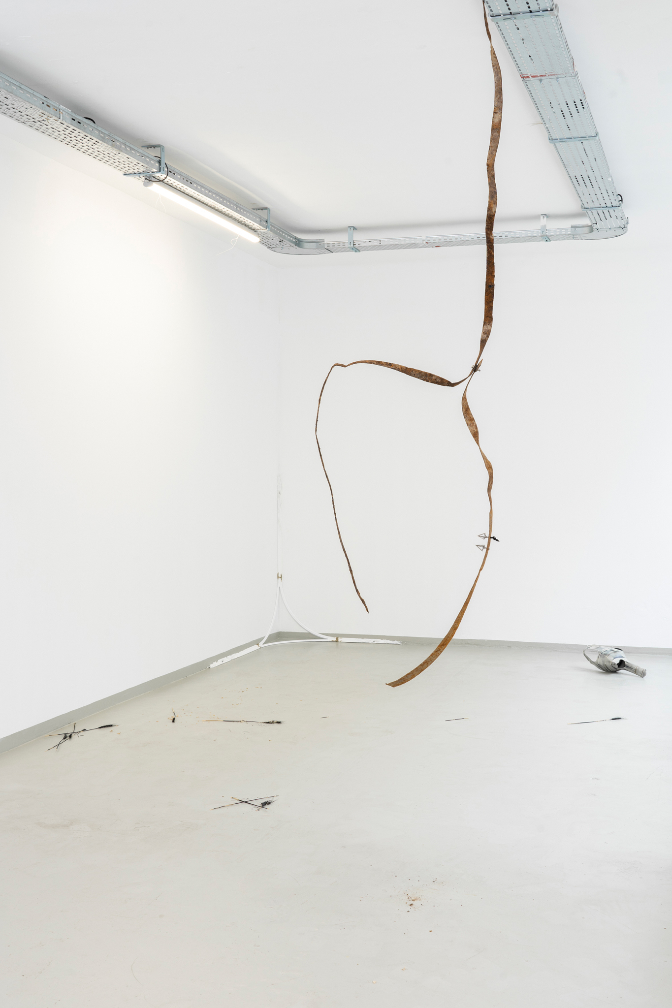 Installation View, Markus Sworcik & René Stiegler, 2022