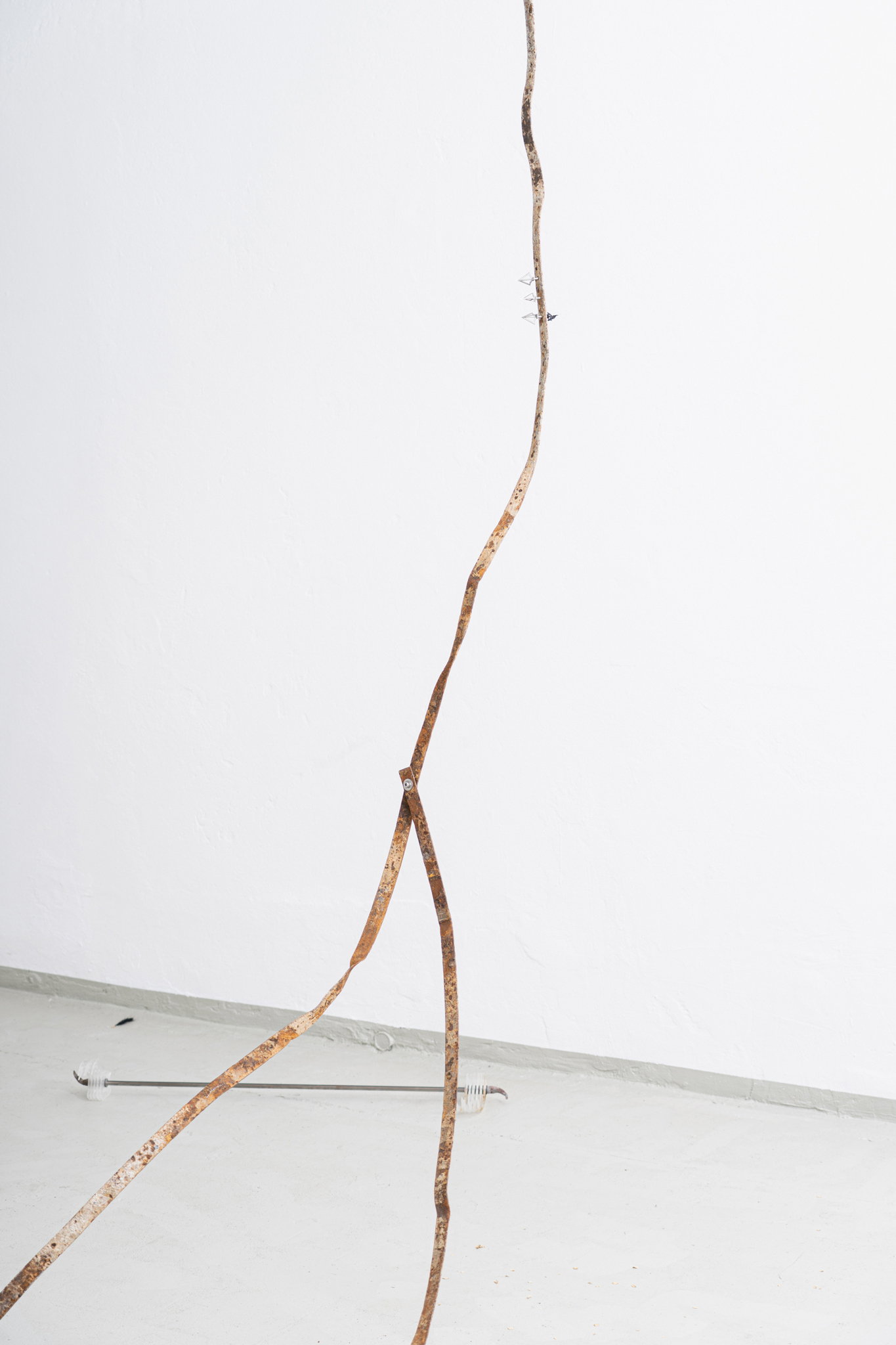 Installation View, Markus Sworcik & René Stiegler, 2022