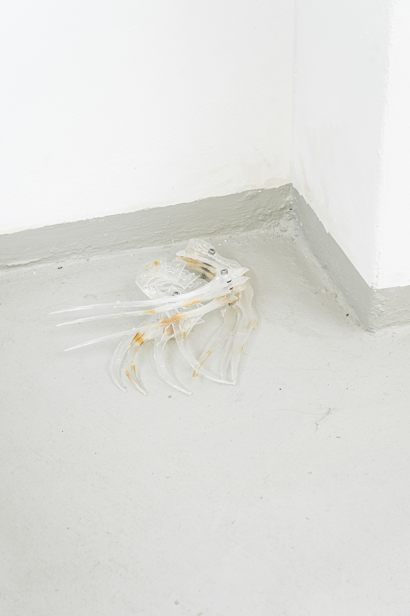 Markus Sworcik, Pile of Claws, 2022, 25 x 24 x 6 cm, Resin, Stainless Steel Screws