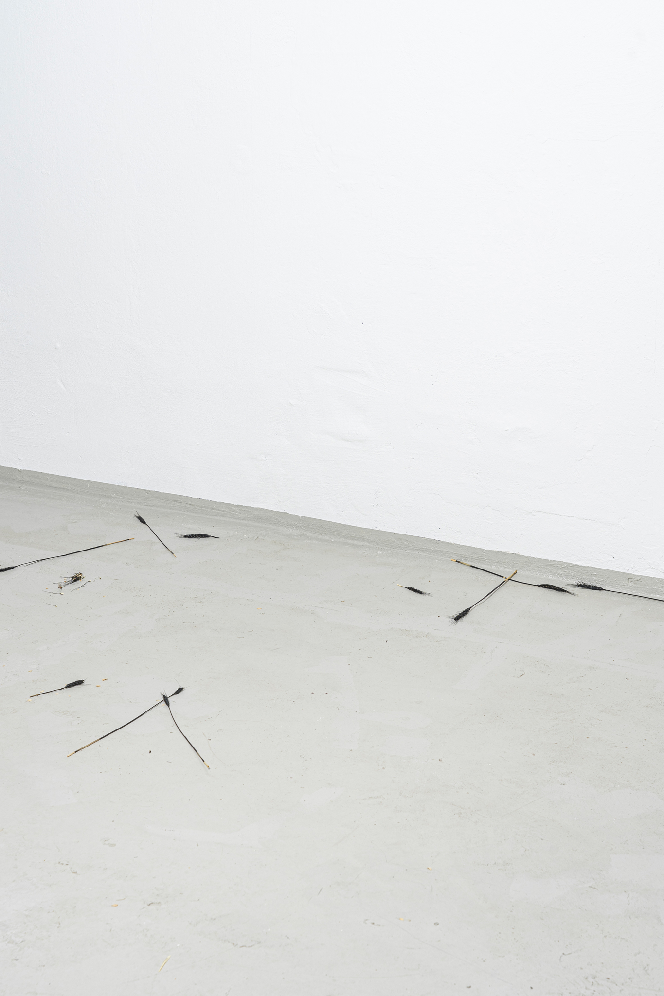 Markus Sworcik & RenĂ© Stiegler, Kornfeld, 2022, Variable Dimensions, Wheat Ears, Paint + Donât Bother, 2022, Variable Dimensions, Dried Flowers, Binding Wire, Neon Light Tubes