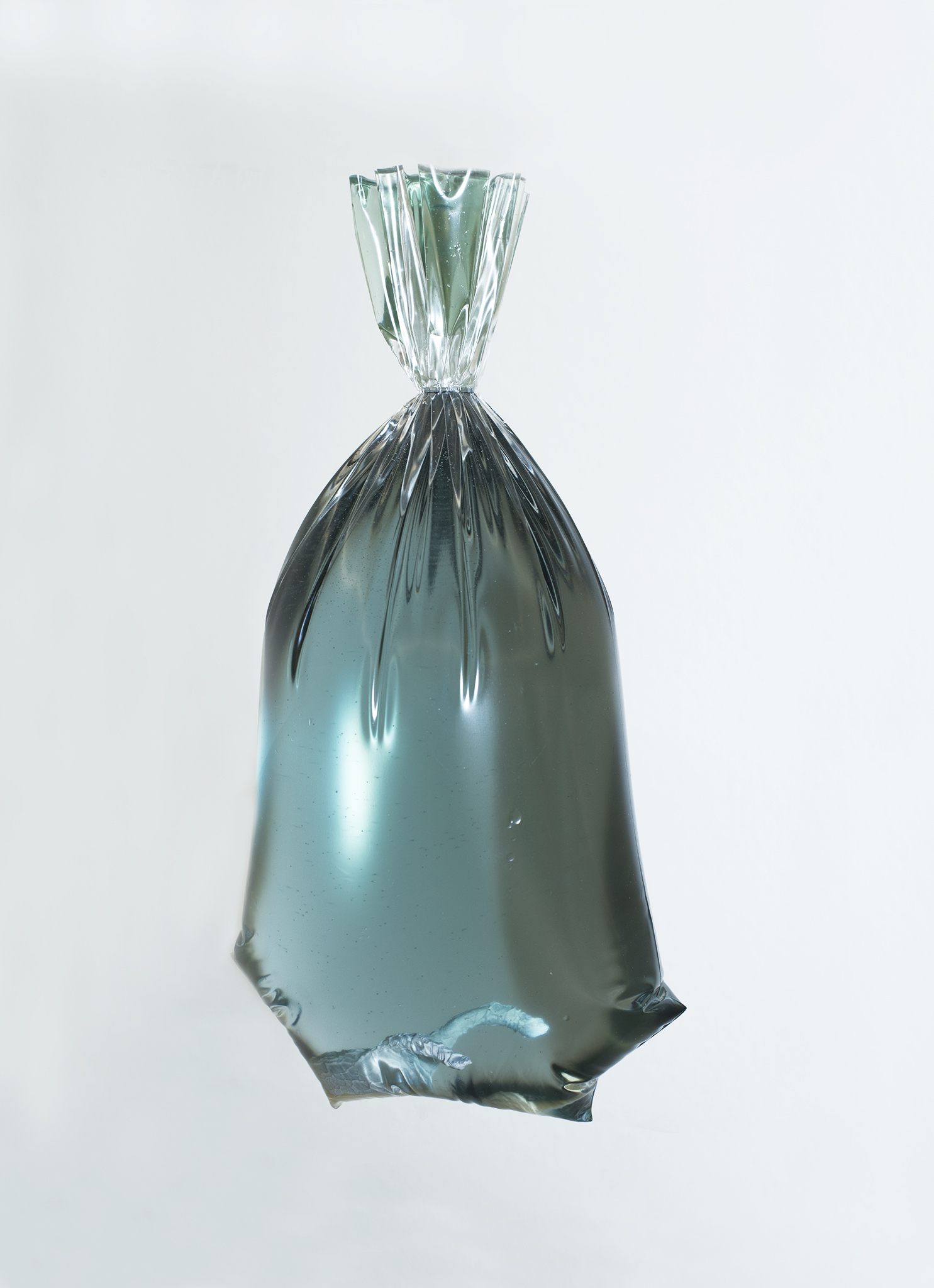 Plasticus, epoxy, modelling clay, ca. 27 x 15 x 11 cm, 2022