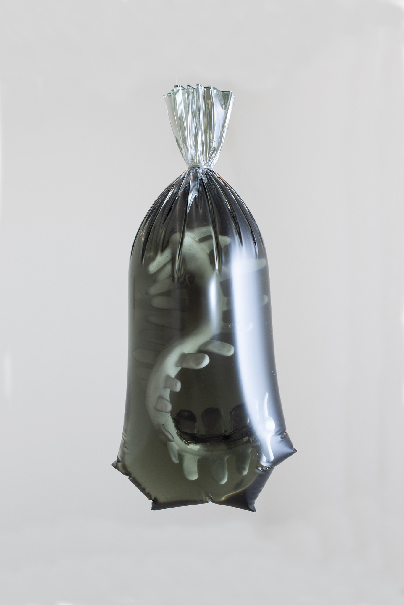 Plasticus, epoxy, ceramics, modelling clay, ca. 27 x 15 x 11 cm, 2022