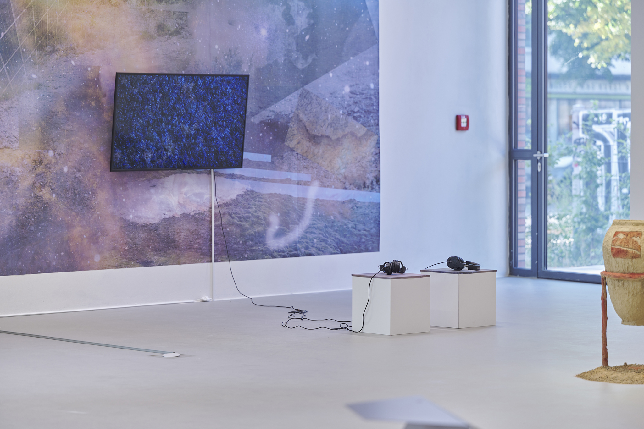 Hara Shin, Anneliese Greve