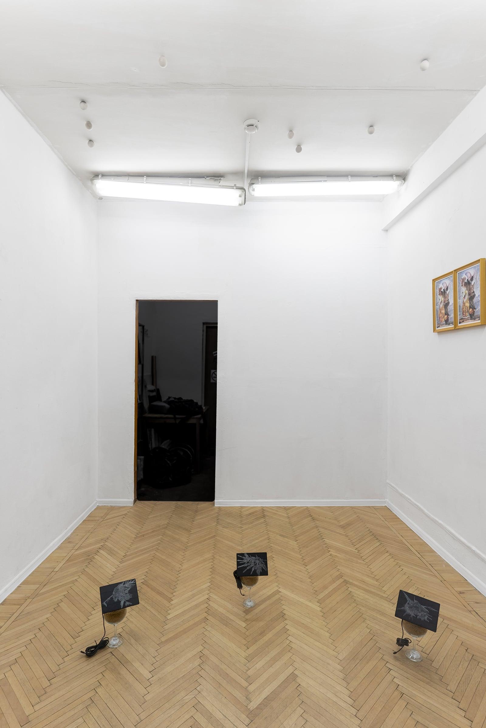 Installation view