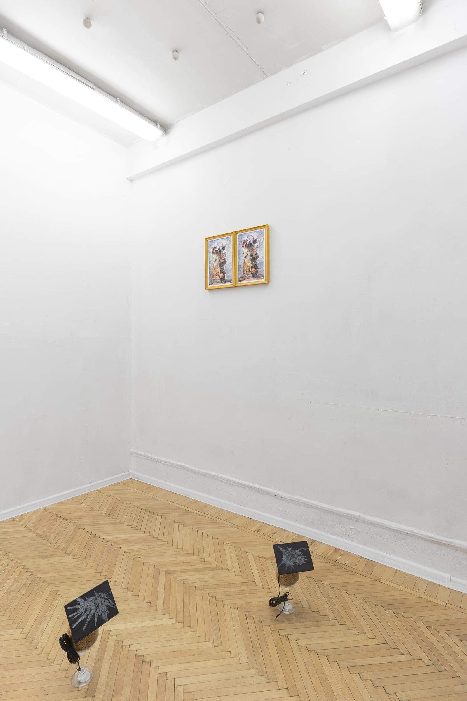 Installation view