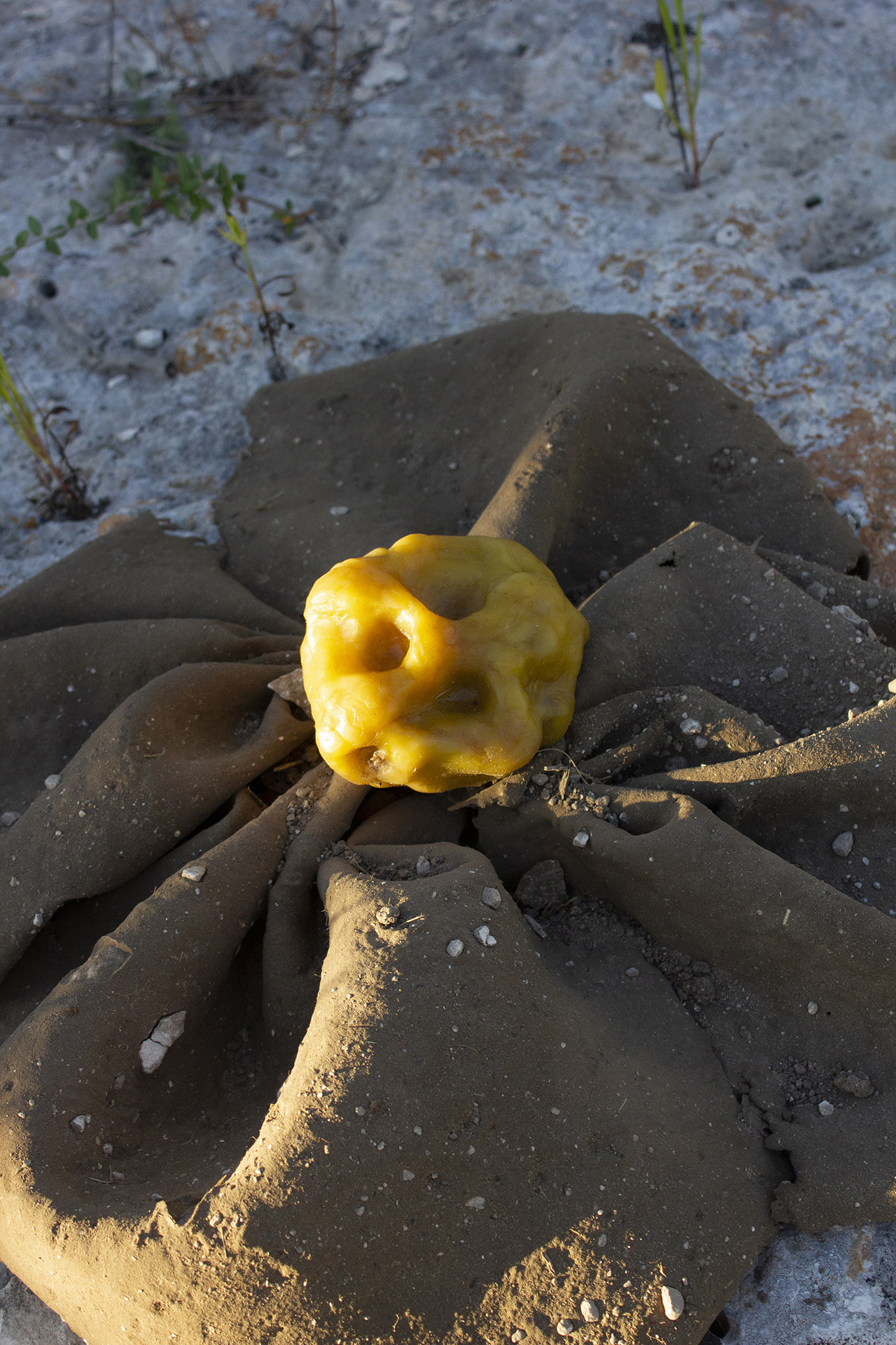 Šimon Chovan, Honey, Don´t Look Away, 2022, bees wax, soil, rubber