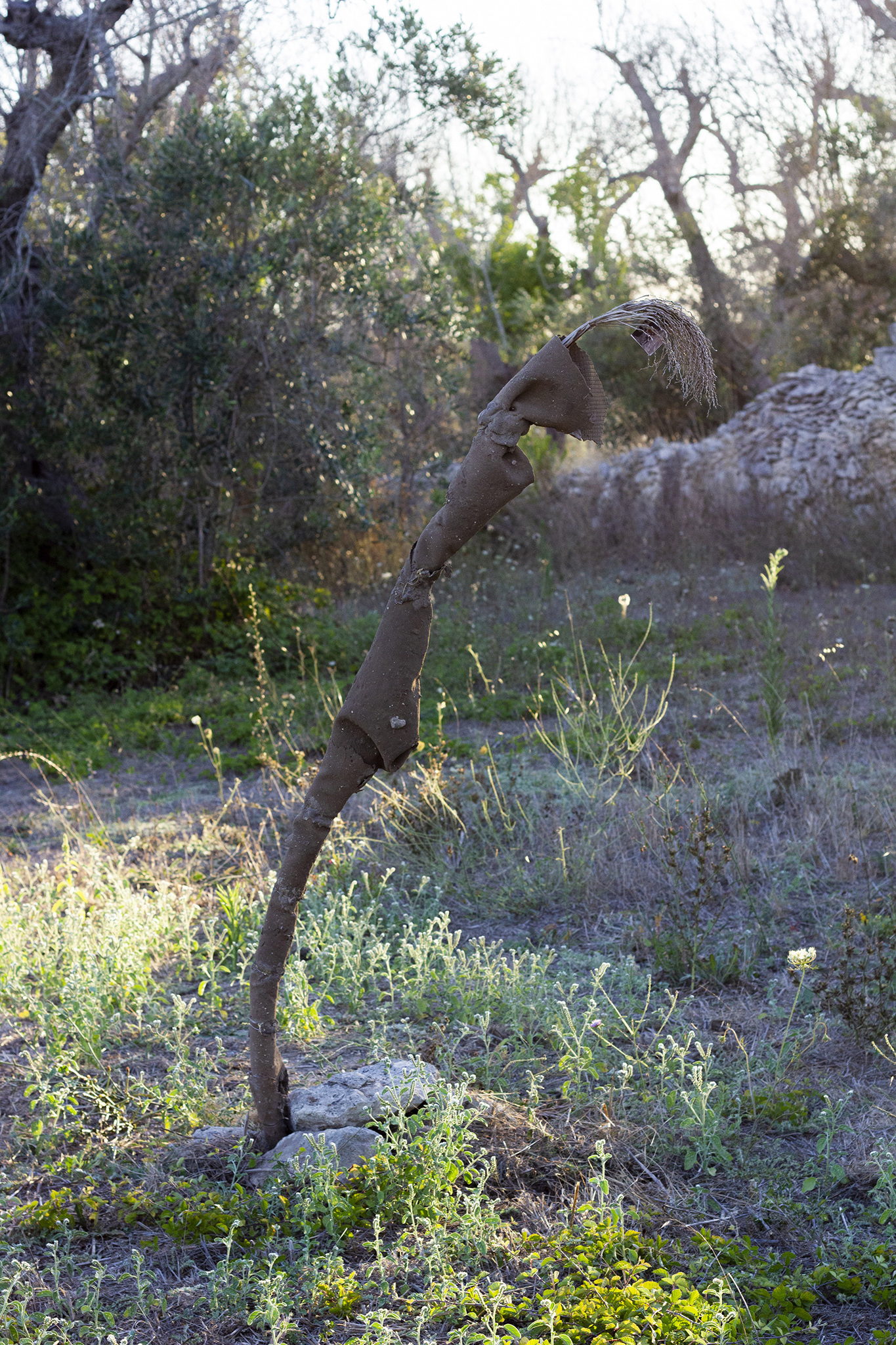 Šimon Chovan, Touch Echo, 2022, photography, soil, dry plant, rubber, wood