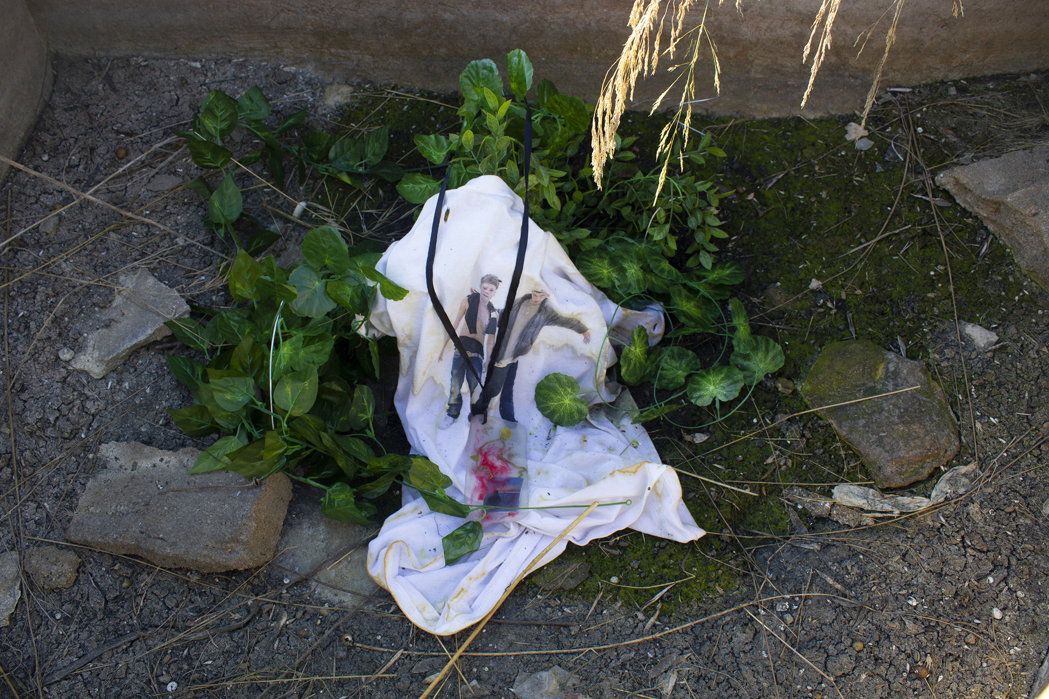 Šimon Chovan, Chlorophyll Tears, Sunny Metanoia, 2022, t-shirt, wasps, flowers, plastic plants, silicone, photograph, found necklace