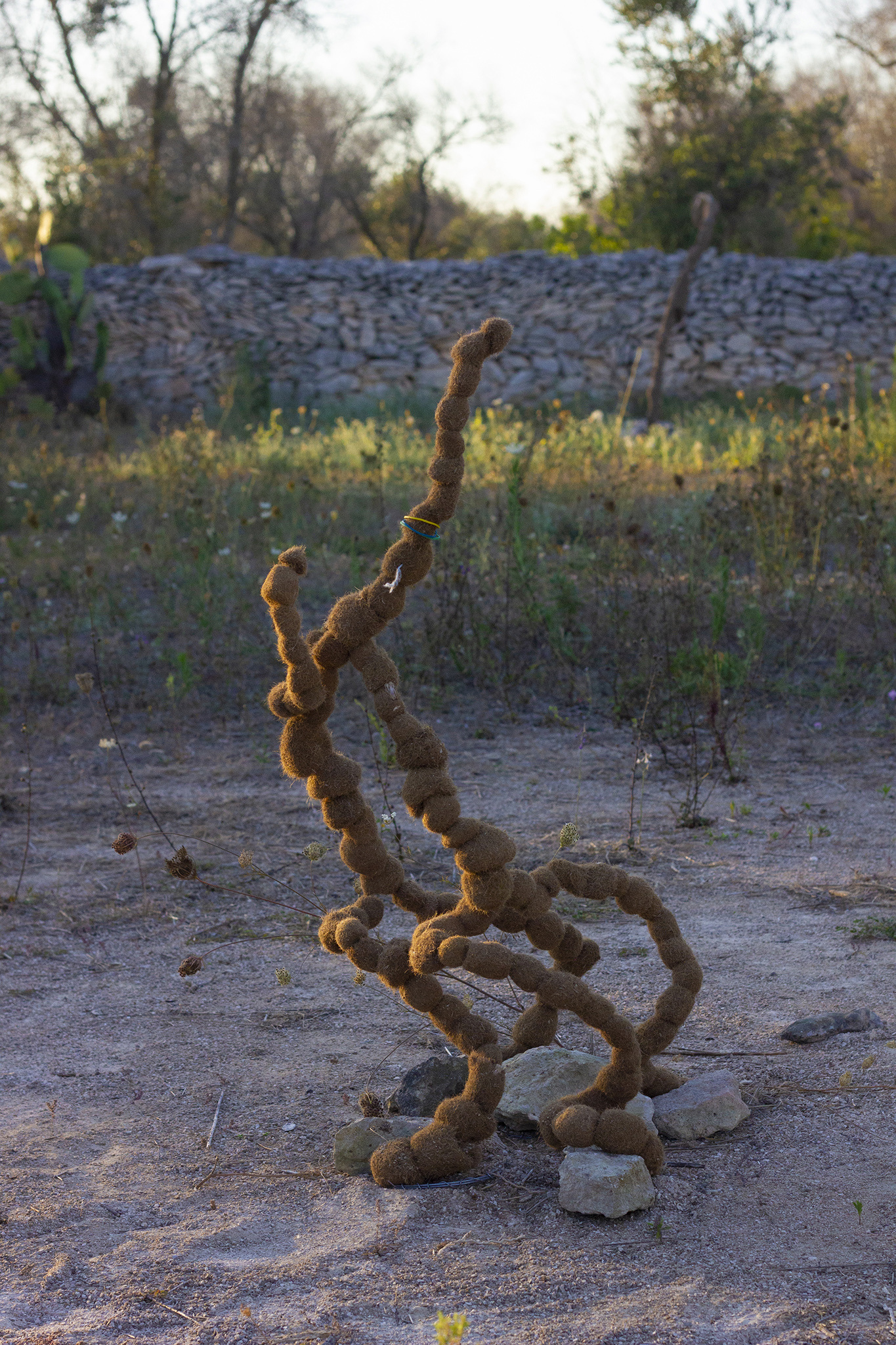 Šimon Chovan, Waiting For A Crescendo, Together, 2022, beach sponges, wrist watch