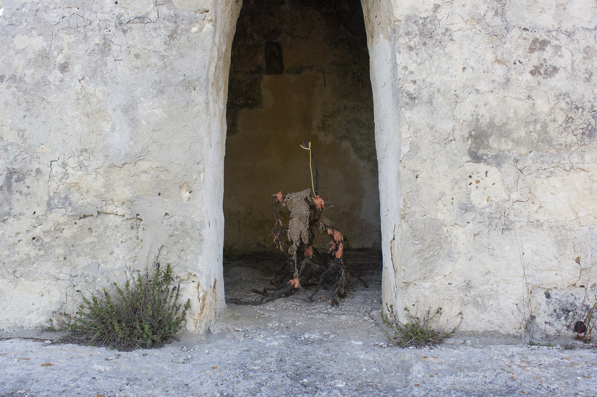 Šimon Chovan, Spora, installation view, San Foca, Italy