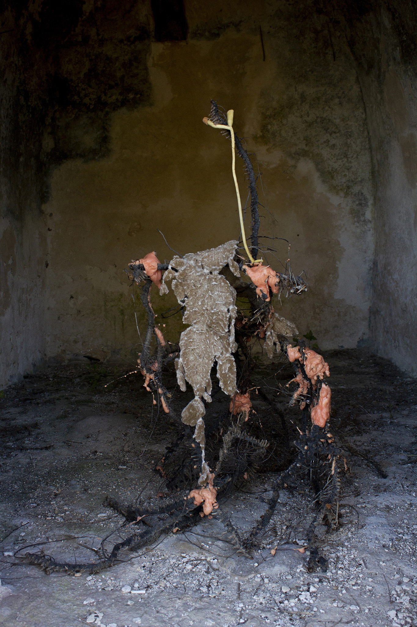 Šimon Chovan, Not Your Guardian, Abandoned Fantasy, 2022, roots, beach sponge, found plastic, polyurethane foam