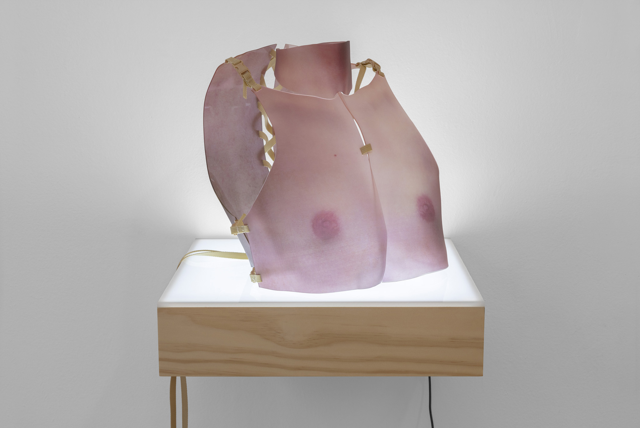 Claire Lachow, Survival Mode 4: Tegumentum I (Cuirass & Gorget), Acrylic transfer on clear acrylic sheet, polypropylene webbing, side-release buckles, light box, 2022