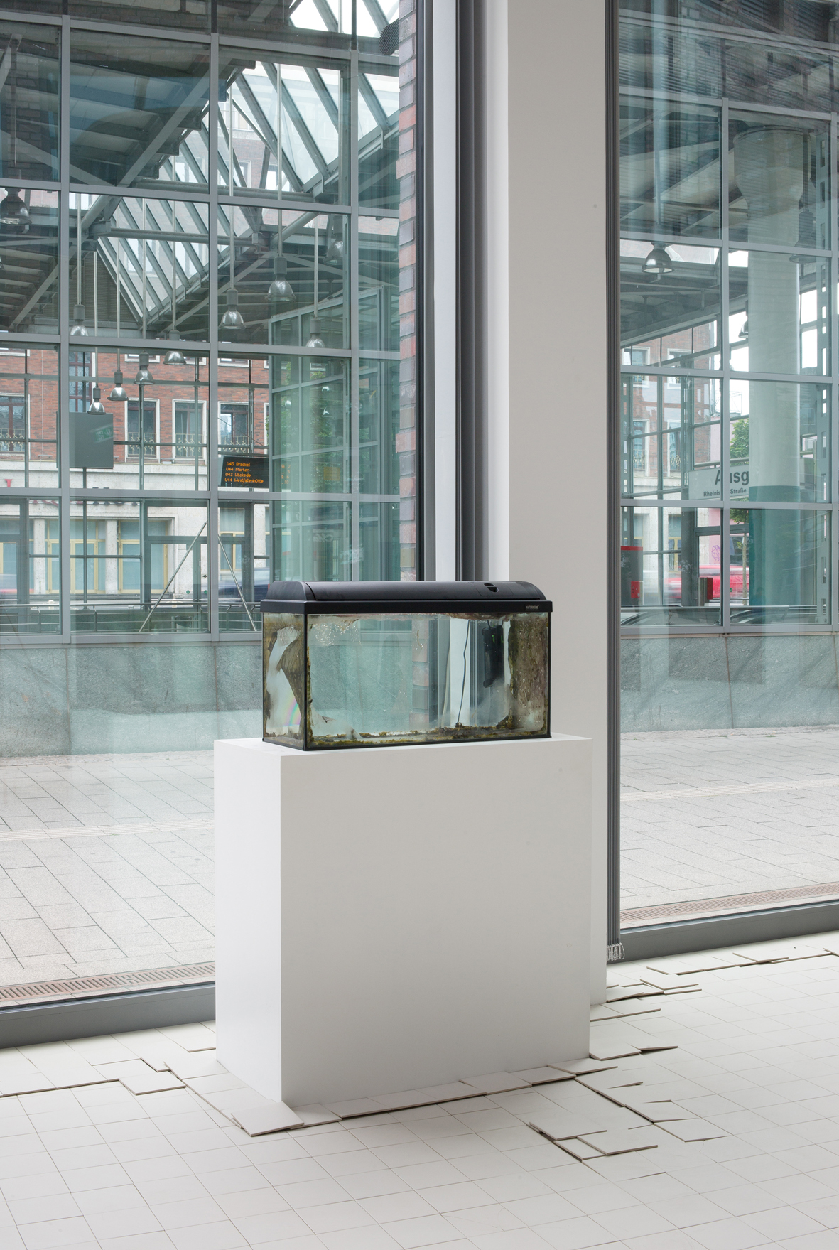 Wet Resistance, Dortmunder Kunstverein, 2022, James Krone, Waterhome, 2022, aquarium, water, pump, lamp Photo: Jens Franke  Courtesy: the artist