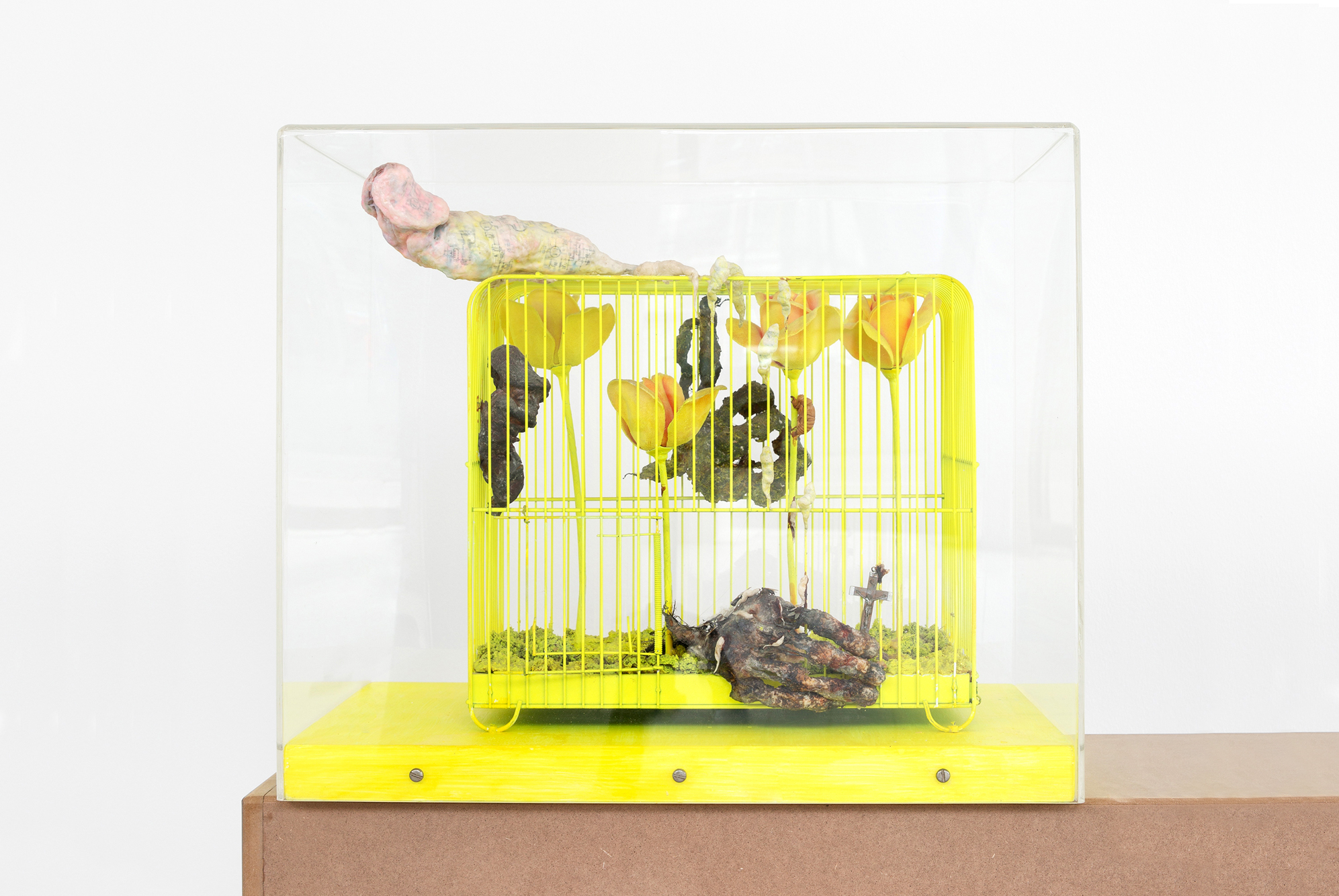 Wet Resistance, Dortmunder Kunstverein, 2022 Tetsumi Kudo, Souvenir de la mue, 1970, various materials, Photo: Jens Franke, Courtesy: S.M.A.K. Ghent