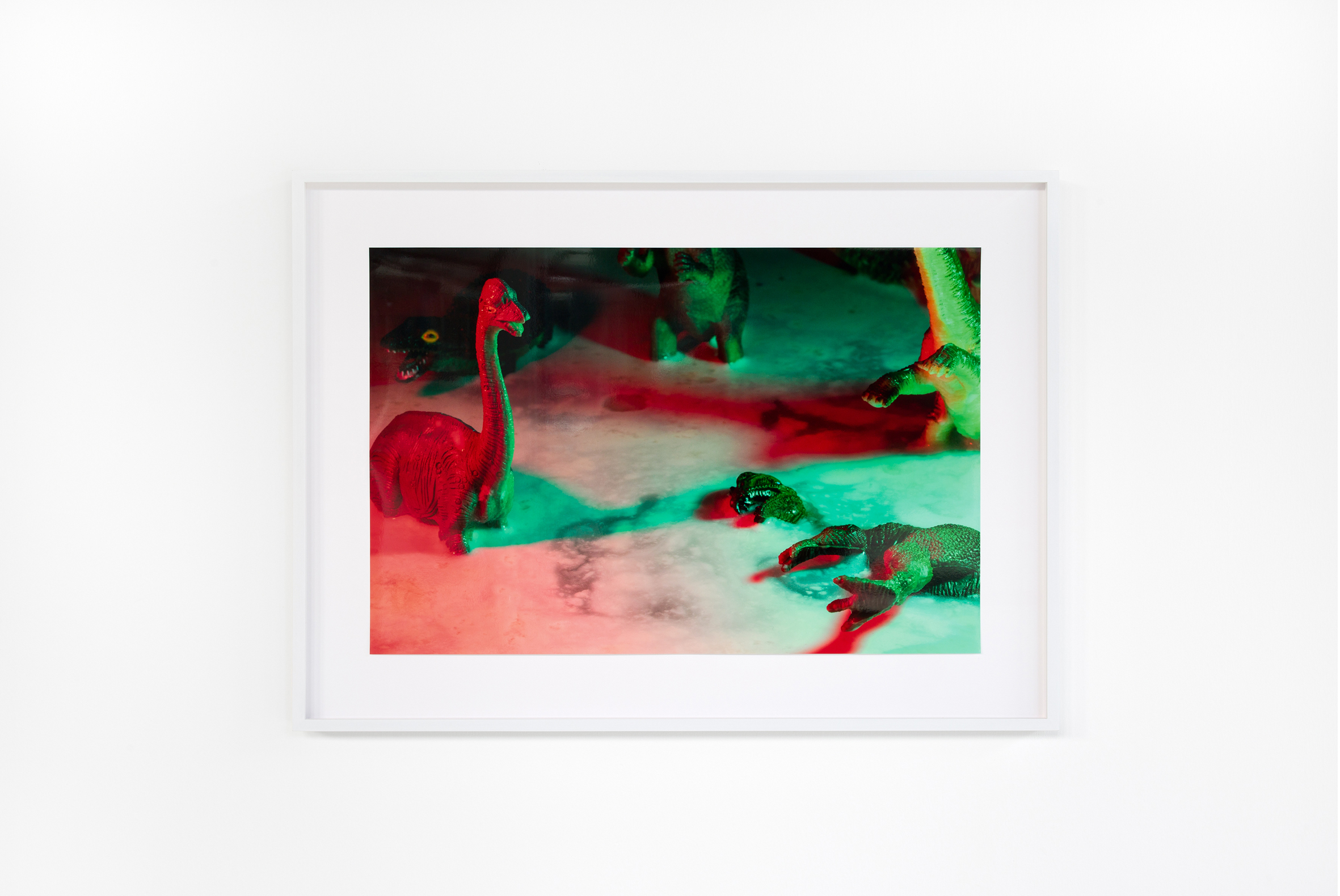 Wet Resistance, Dortmunder Kunstverein, 2022 Julian Irlinger, before time, 2022, C- print, Photo: Jens Franke Courtesy: the artist