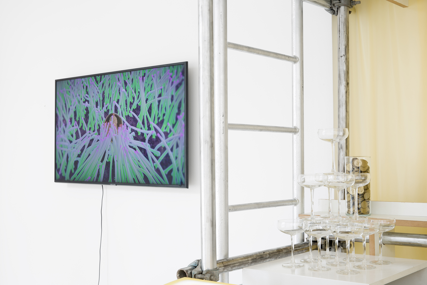 Wet Resistance, Dortmunder Kunstverein, 2022 Zoe Williams, Tendresse, Tendril (Worms’ Meat), Video, 2021 & Liquid currency Bar , 2022 Photo: Jens Franke  Courtesy: the artist, Ciaccia Levy Paris-Milan