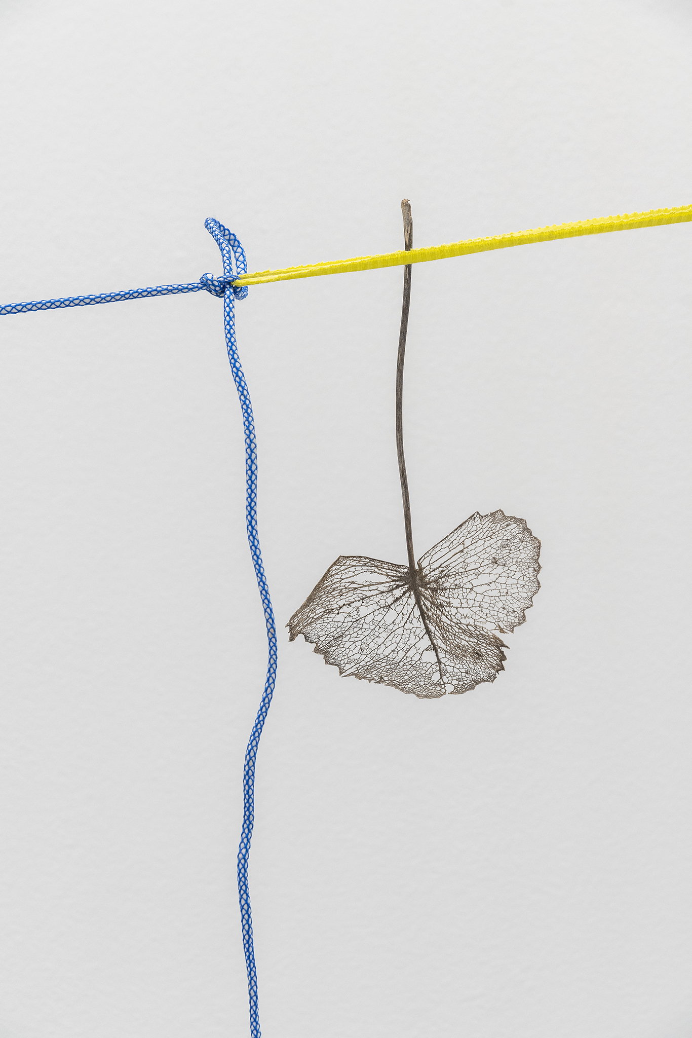 Gabriel Rico, Polimerycene from the series - Freedom of manoeuvre-, 2020, Mix of found objects, ropes, neon, deer’s foot, horseshoe and mirror, 750x133x60cm, courtesy of max goelitz and OMR, Mexico City, copyright of the artist, photo: Dirk Tacke