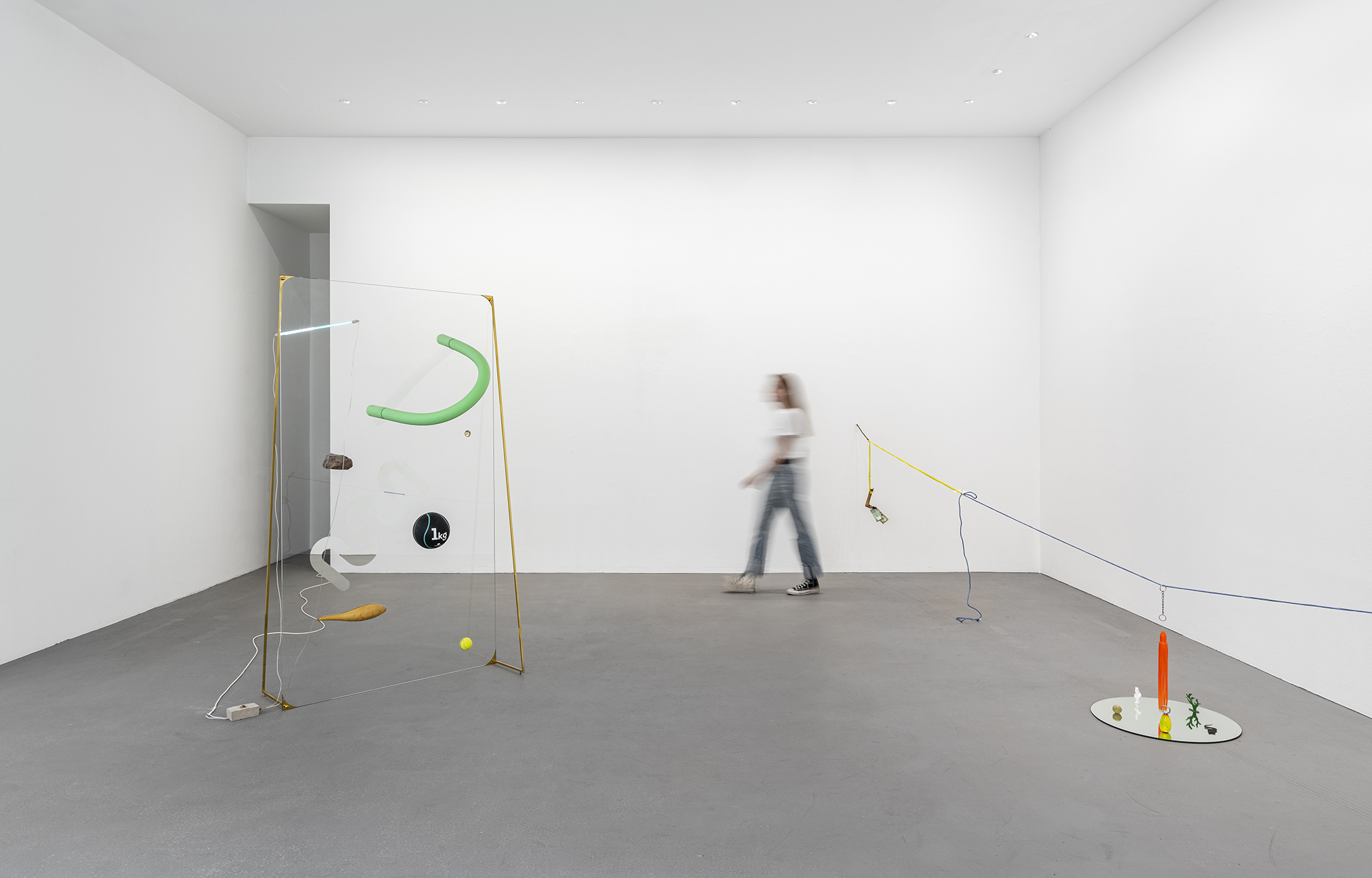 Installation view, when there were more donkeys than icosahedrons, courtesy of max goelitz and OMR, Mexico City, photo: Dirk Tacke