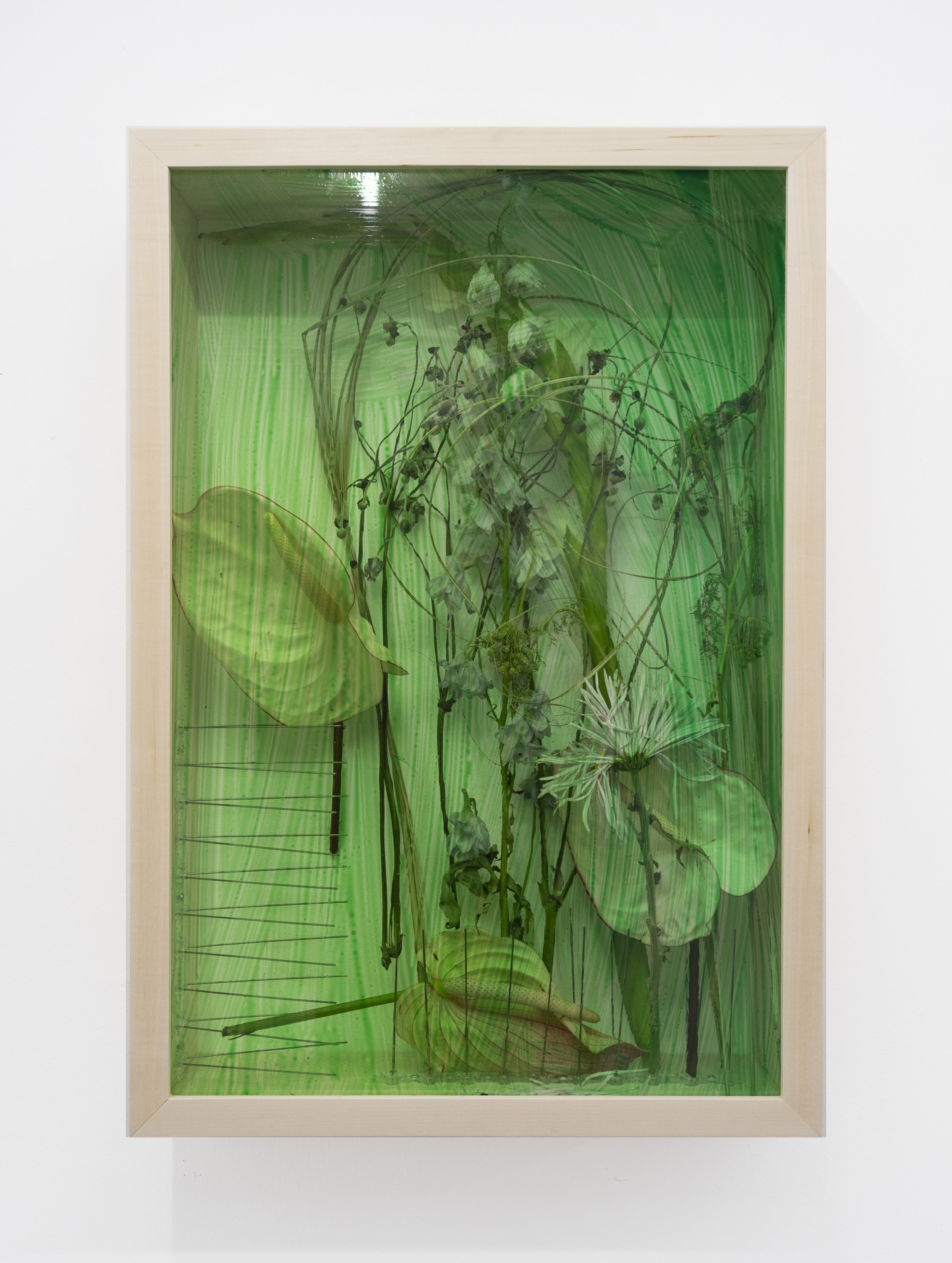 Green Window 1, 2022, 60 x 40 x 12 cm, White Flowers, pigeon spikes