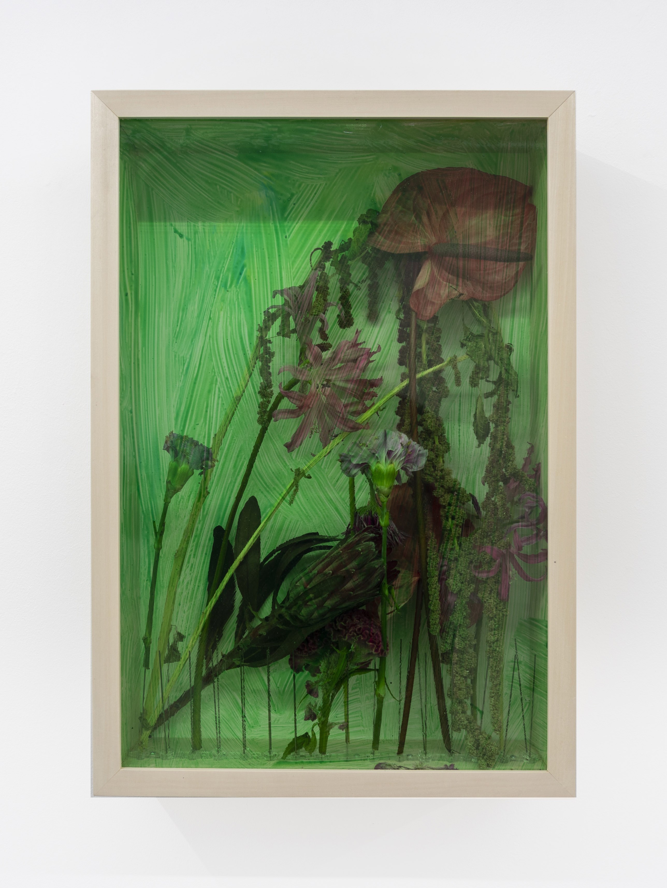 Green Window 2, 2022, 60 x 40 x 12 cm, Pink flowers, pigeon spikes