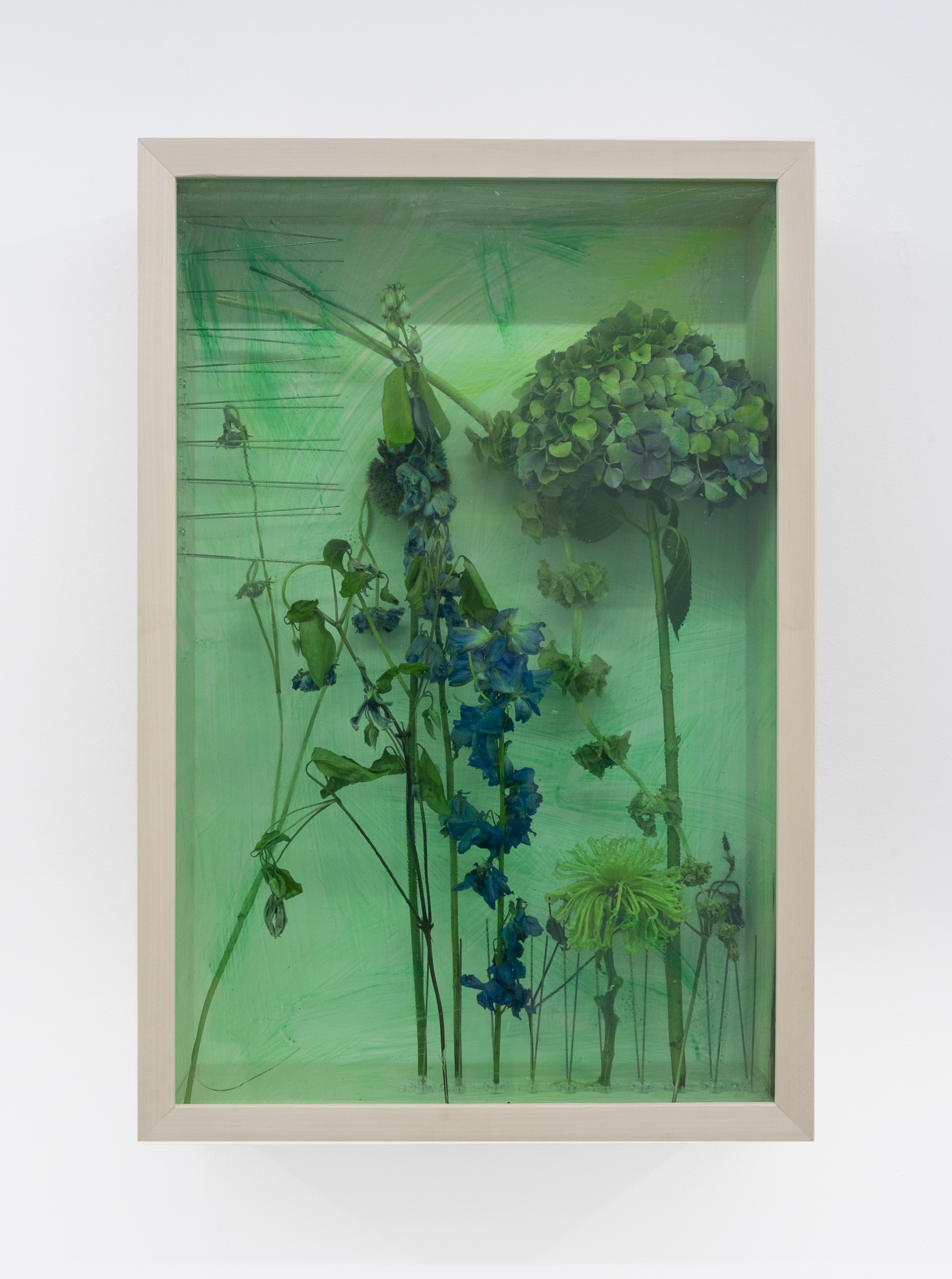 Green Window 3, 2022, 60 x 40 x 12 cm, Blue flowers, pigeon spikes