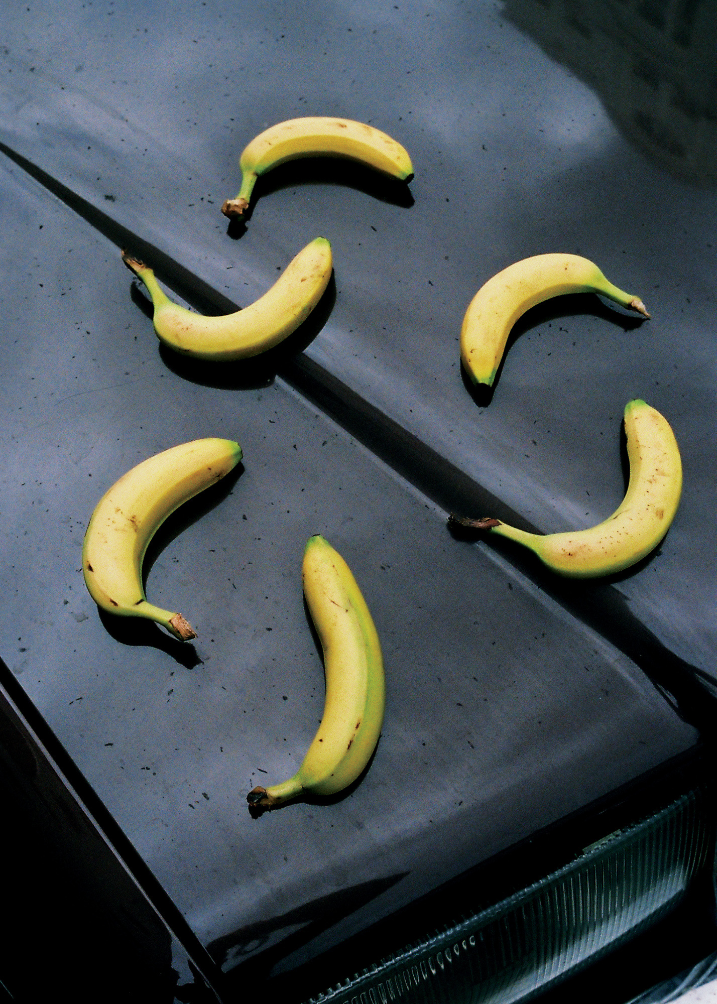 Bananas x Volvo