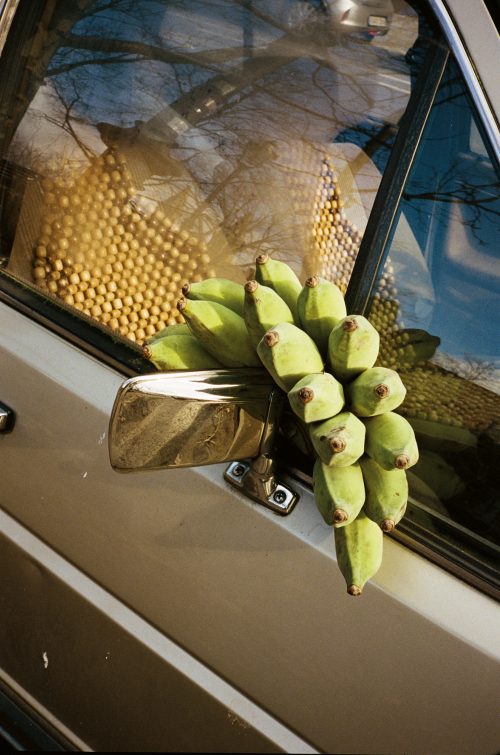 Fruit on Cars Pictures 25