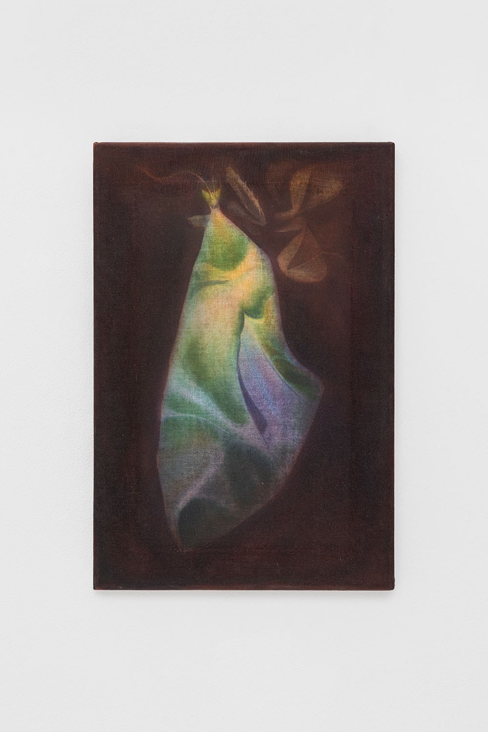 Le repas (Sphinx du laurier rose), 2022 acrylic and gouache on cotton,45 x 30 cm