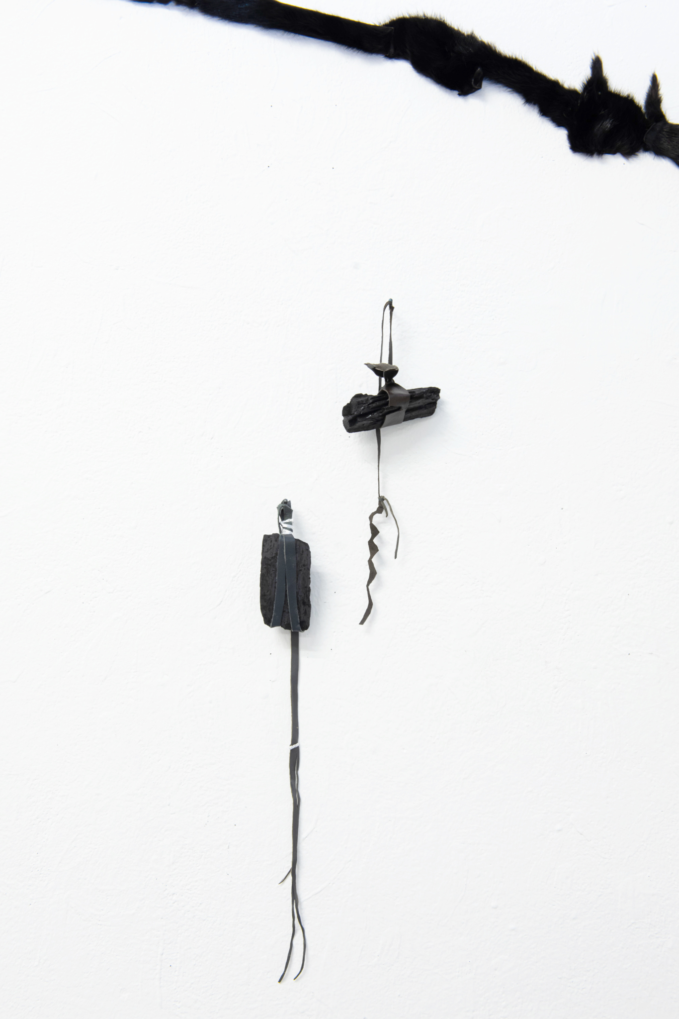 Charcoal collectible (2022) variable dimensions