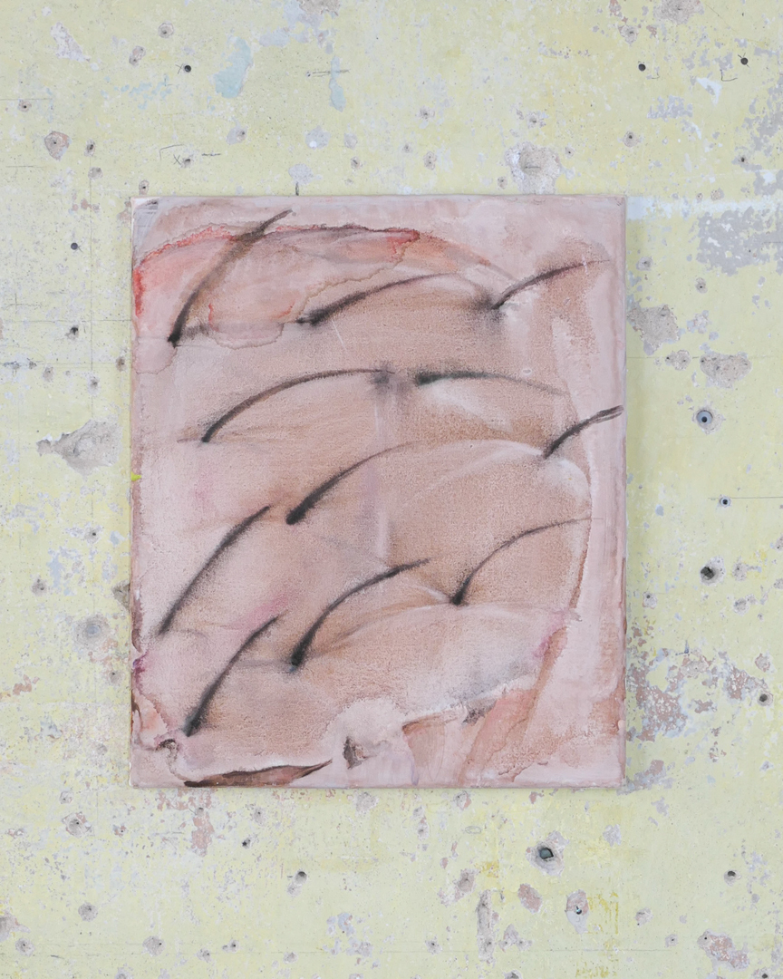 Lea Hoffbauer, Skin&Hair, 2021, Oil, ink and chalk ground on canvas, 14 inch x 10 inch