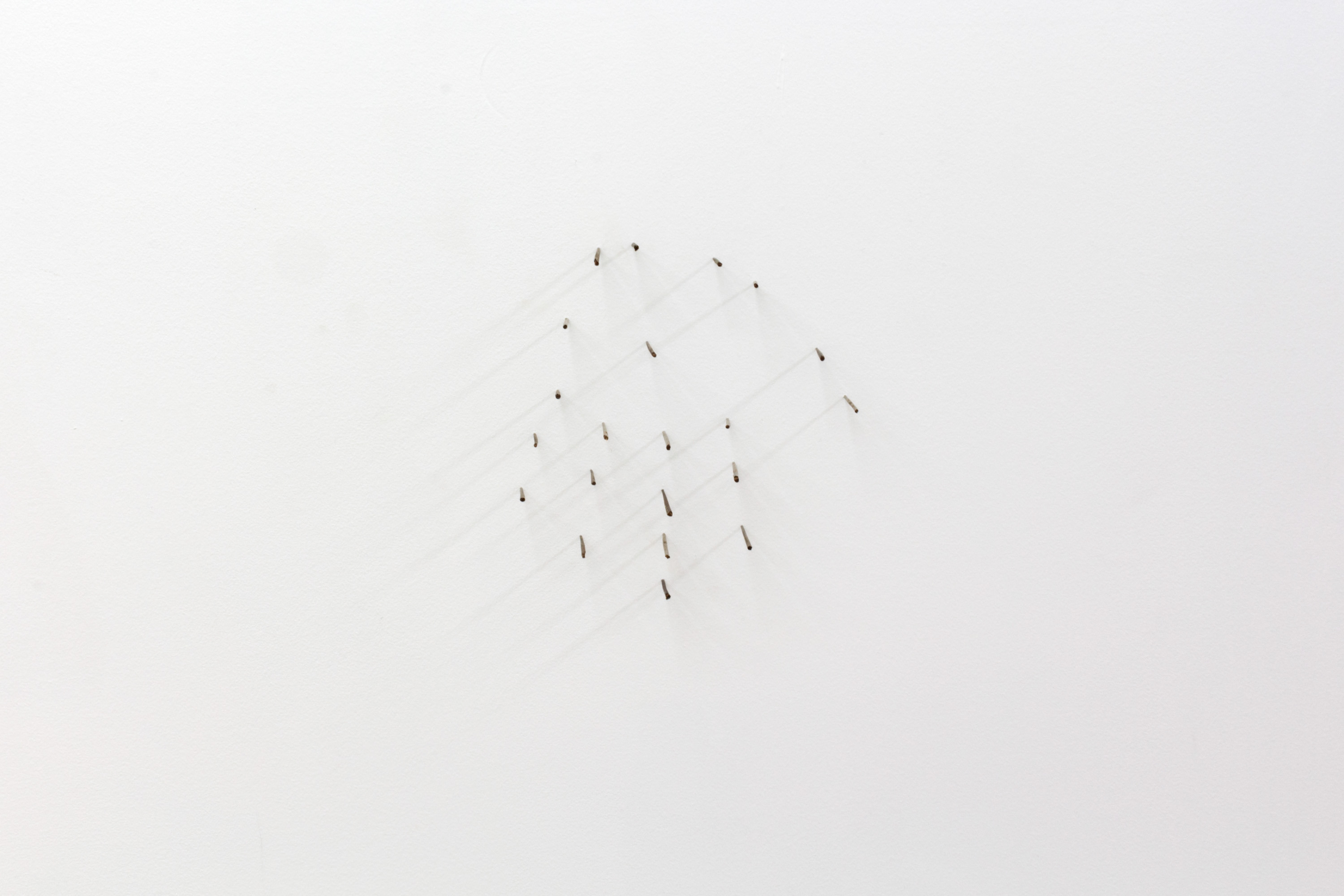 Graham Wiebe, Re-animation, 2022, Reclaimed rainstick needles, Dimensions variable