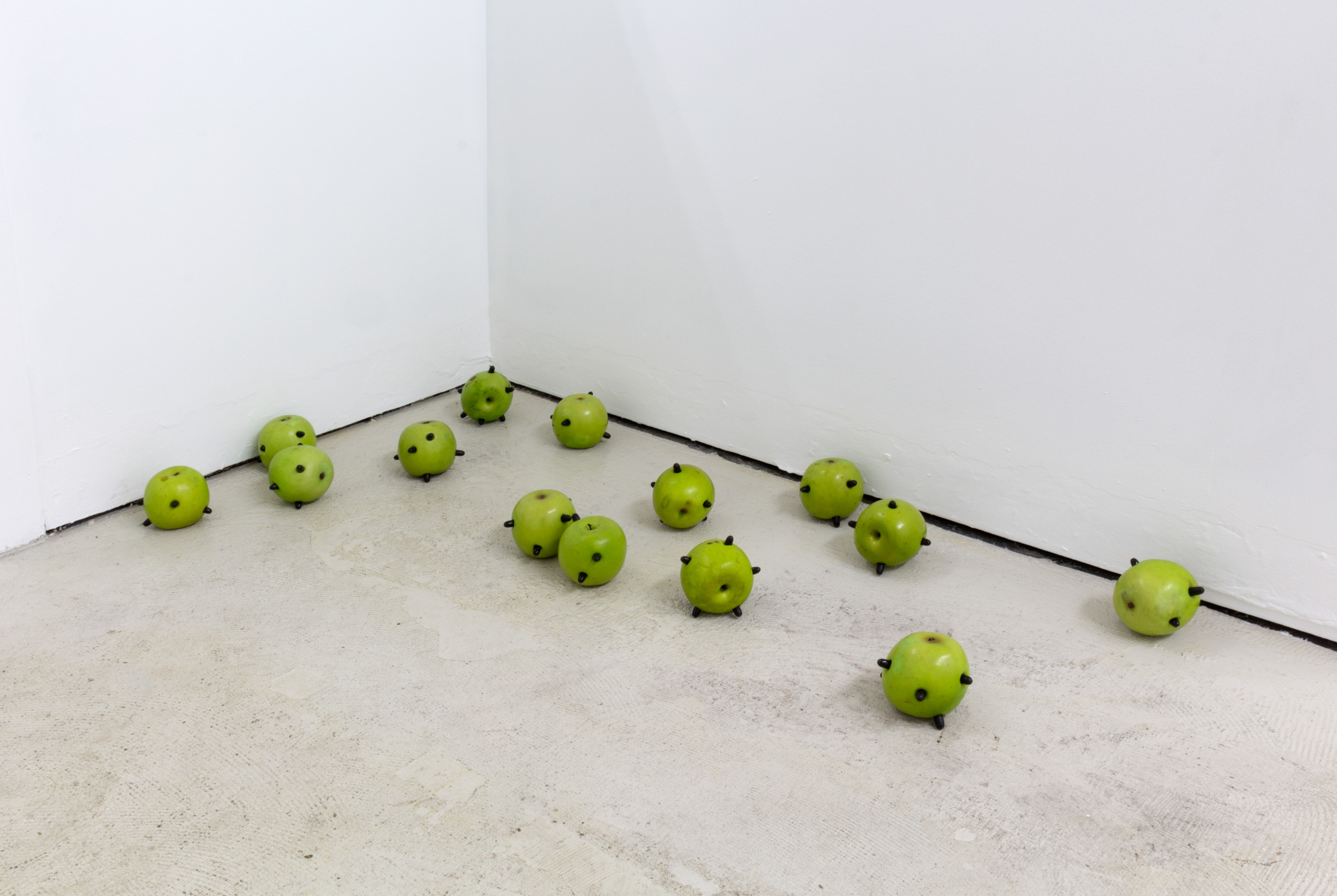 Graham Wiebe, Antipoison Apples, 2022, Plastic apples, activated charcoal pills, Dimensions variable