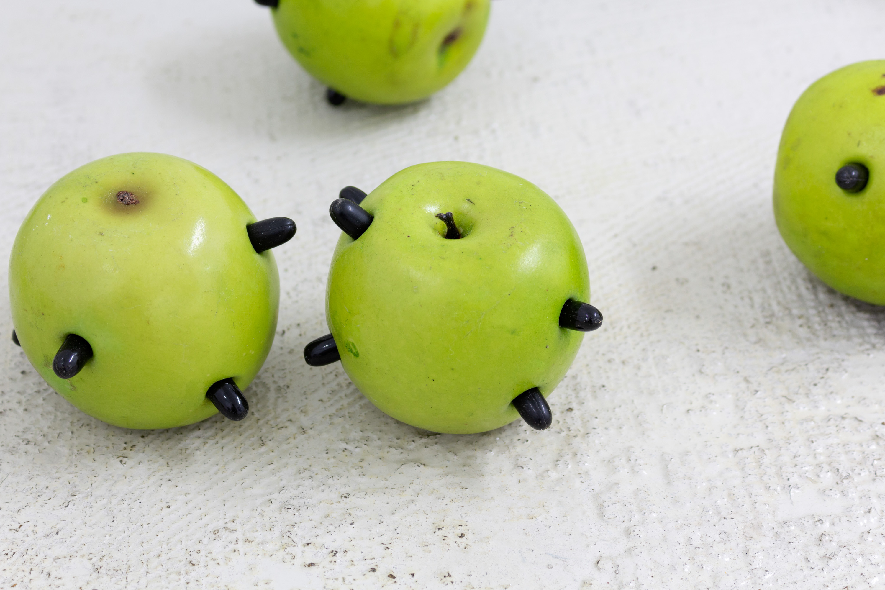 Graham Wiebe, Antipoison Apples, 2022, Plastic apples, activated charcoal pills, Dimensions variable