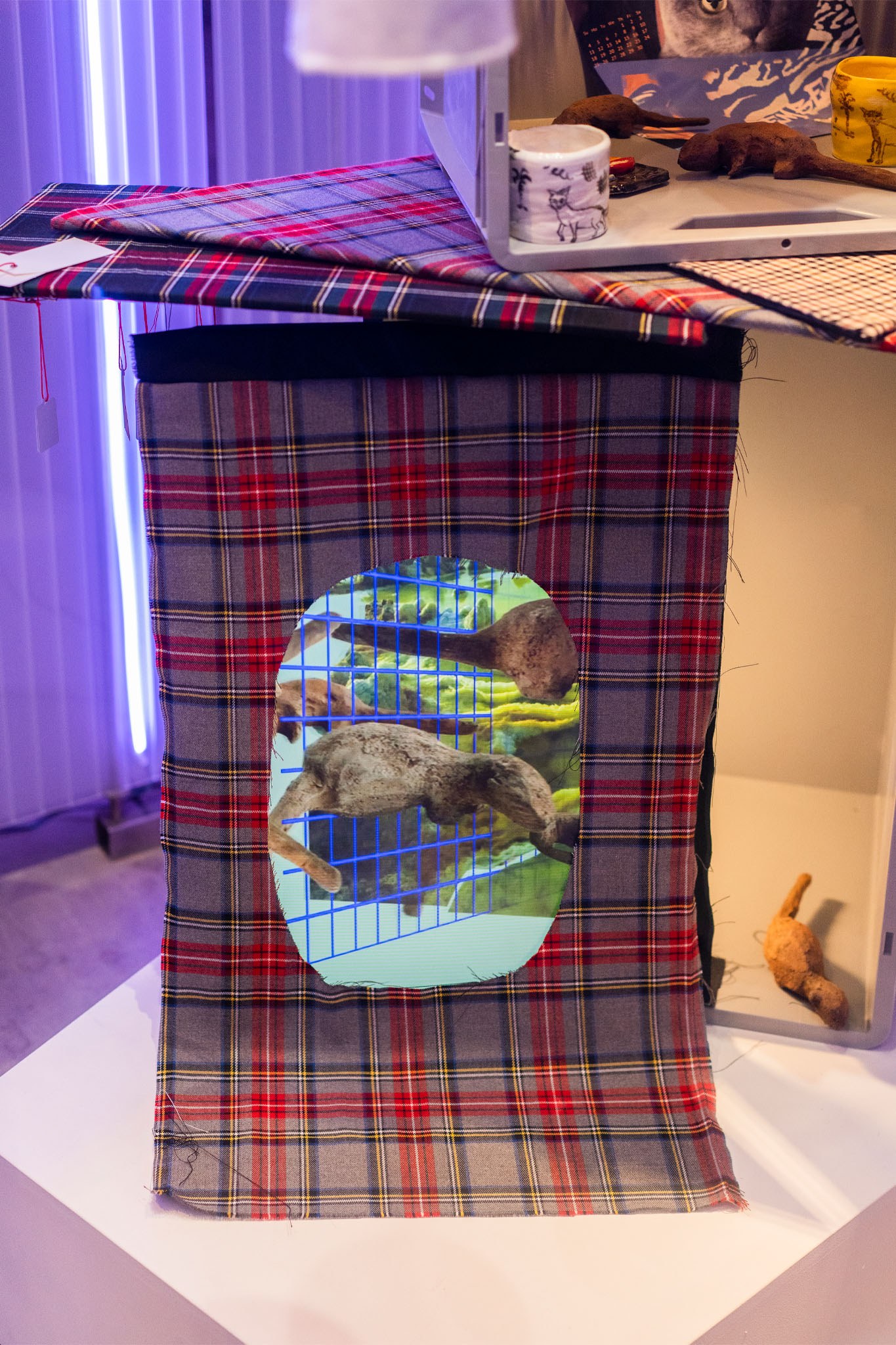 Black Palm – Sonja Cvitkovic, Daily Deals, New Toni, Berlin, 2022, Installation view, video by Sonja Cvitkovic