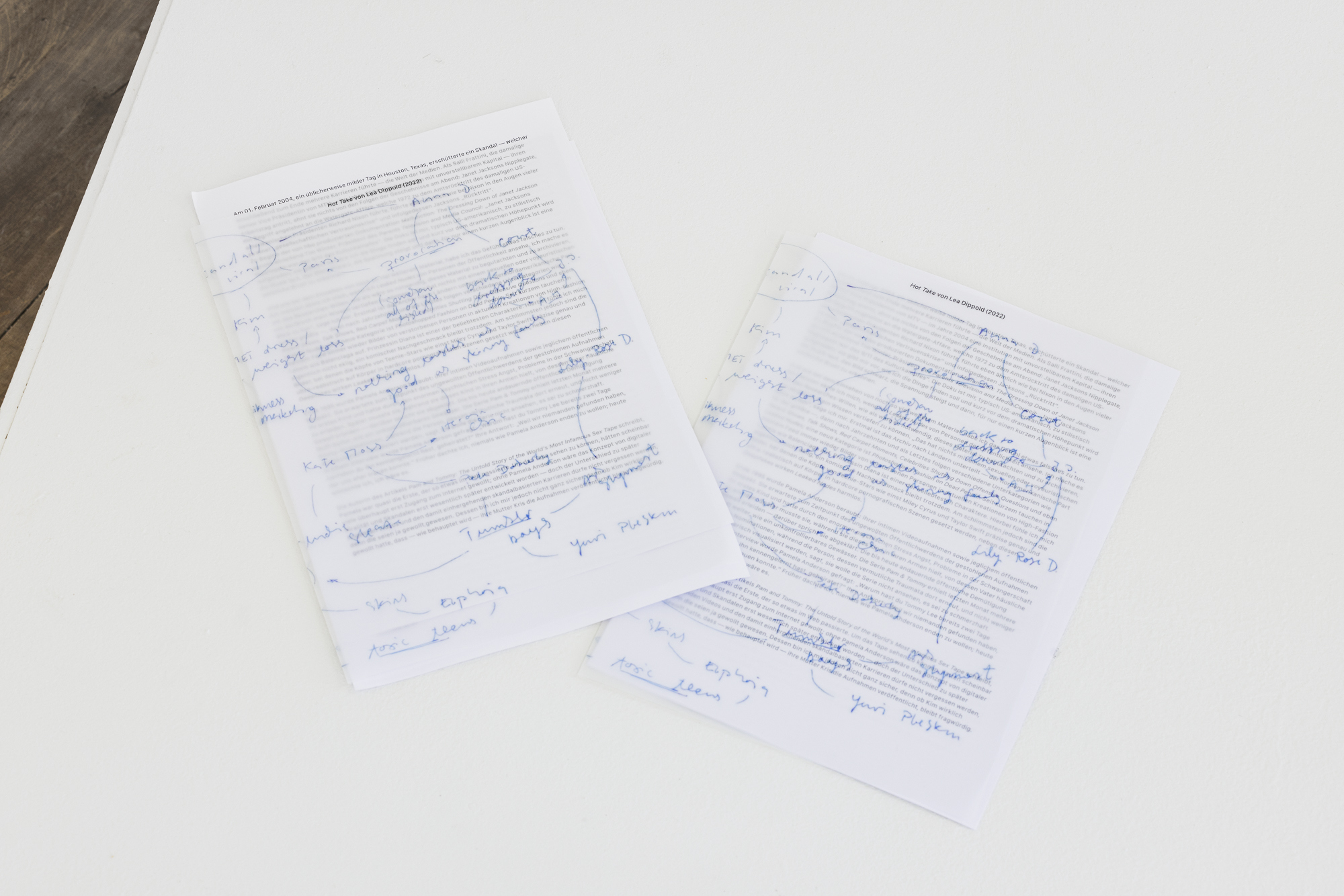 Lea Dippold _Hot Take_, 2022 printed text, 30 x 20 cm